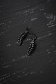 Sophisticated earrings featuring geometric shapes against a charcoal surface.