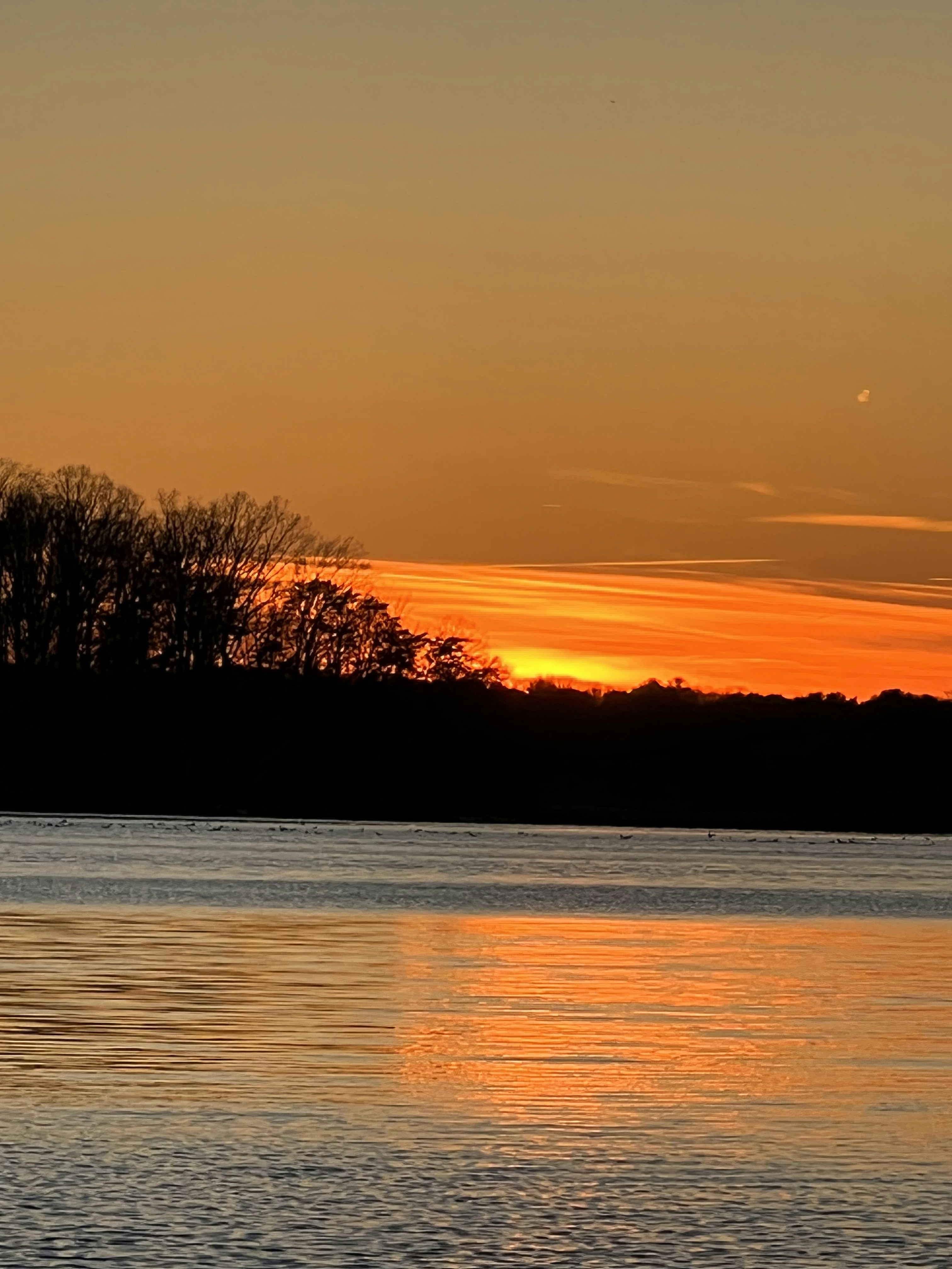 Photo by hassiclicks