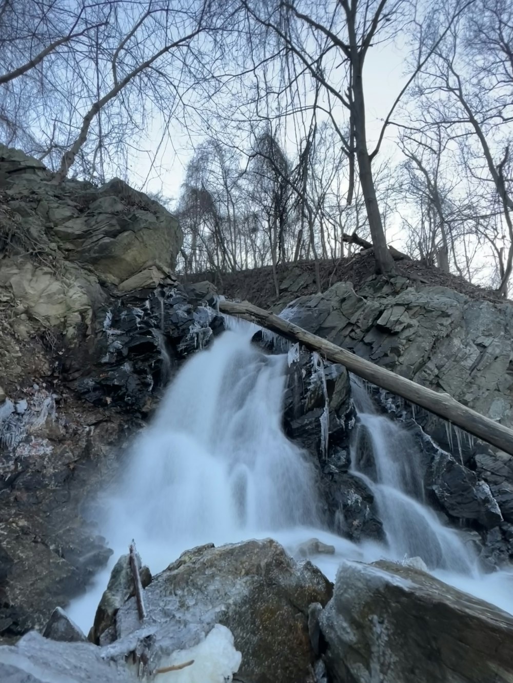 a small waterfall in the middle of a forest