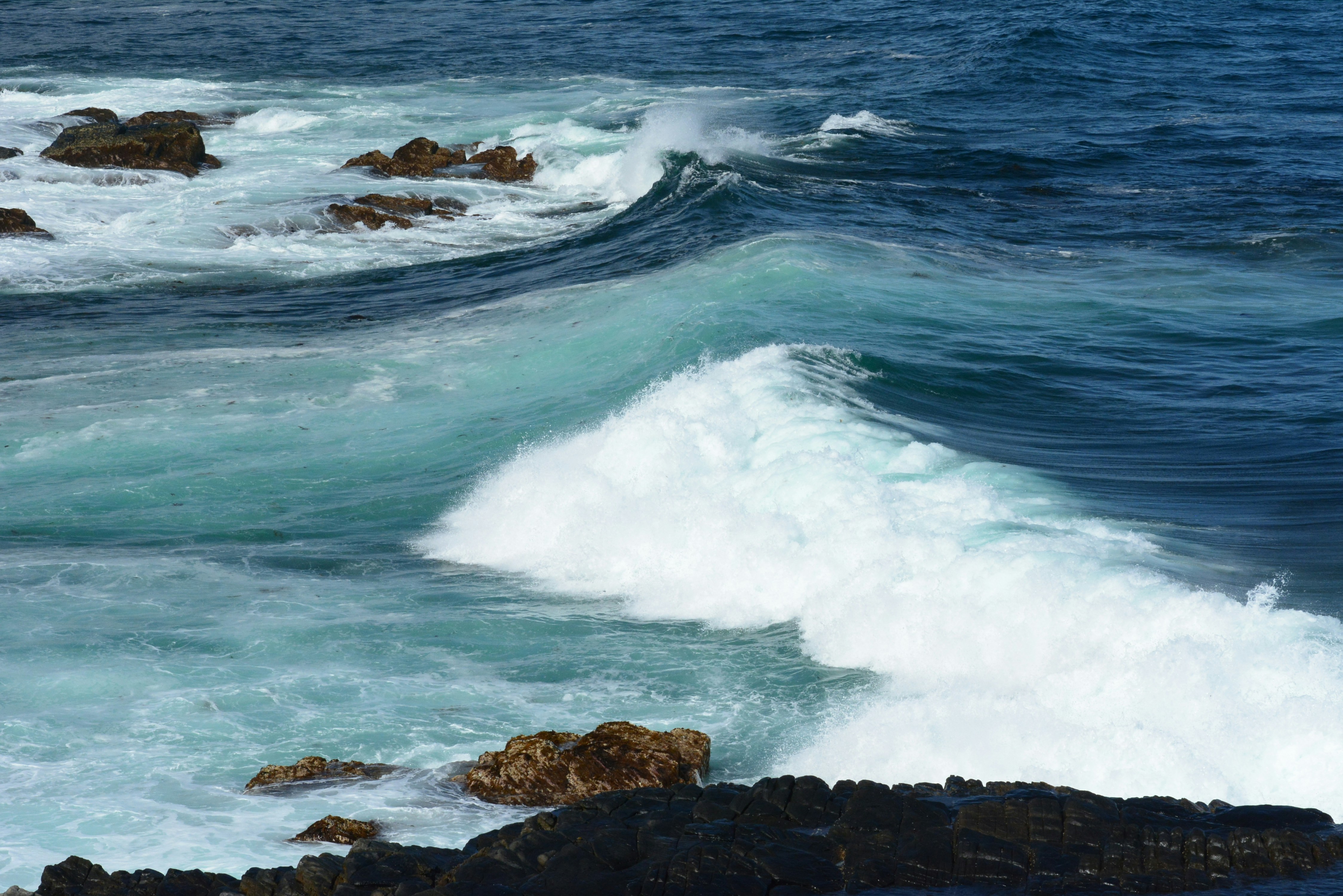 Photo by richard7seals