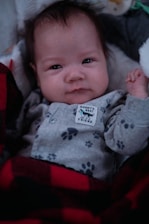 A baby is dressed in a light gray onesie with dark paw print patterns and a tag reading 'Daddy's Best Friend.' The baby is wrapped in a red and black buffalo plaid blanket, lying on a soft surface.
