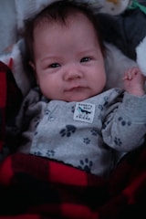 A baby is dressed in a light gray onesie with dark paw print patterns and a tag reading 'Daddy's Best Friend.' The baby is wrapped in a red and black buffalo plaid blanket, lying on a soft surface.