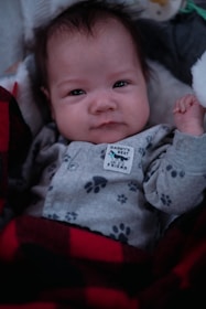 A baby is dressed in a light gray onesie with dark paw print patterns and a tag reading 'Daddy's Best Friend.' The baby is wrapped in a red and black buffalo plaid blanket, lying on a soft surface.