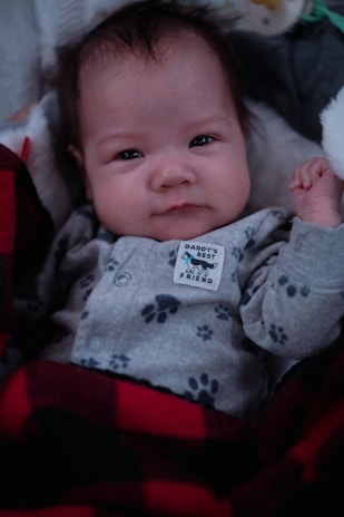 A baby is dressed in a light gray onesie with dark paw print patterns and a tag reading 'Daddy's Best Friend.' The baby is wrapped in a red and black buffalo plaid blanket, lying on a soft surface.