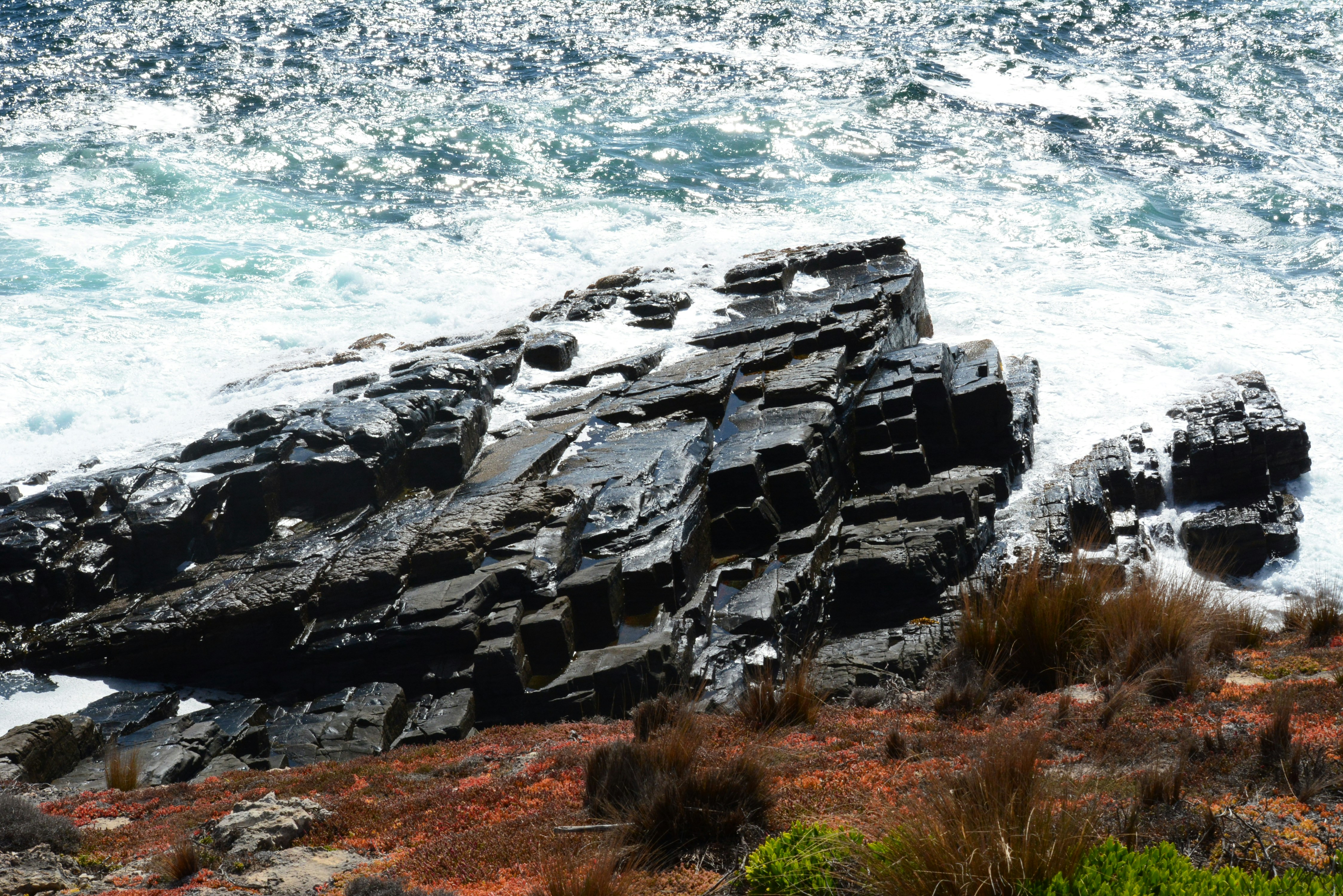 Photo by richard7seals