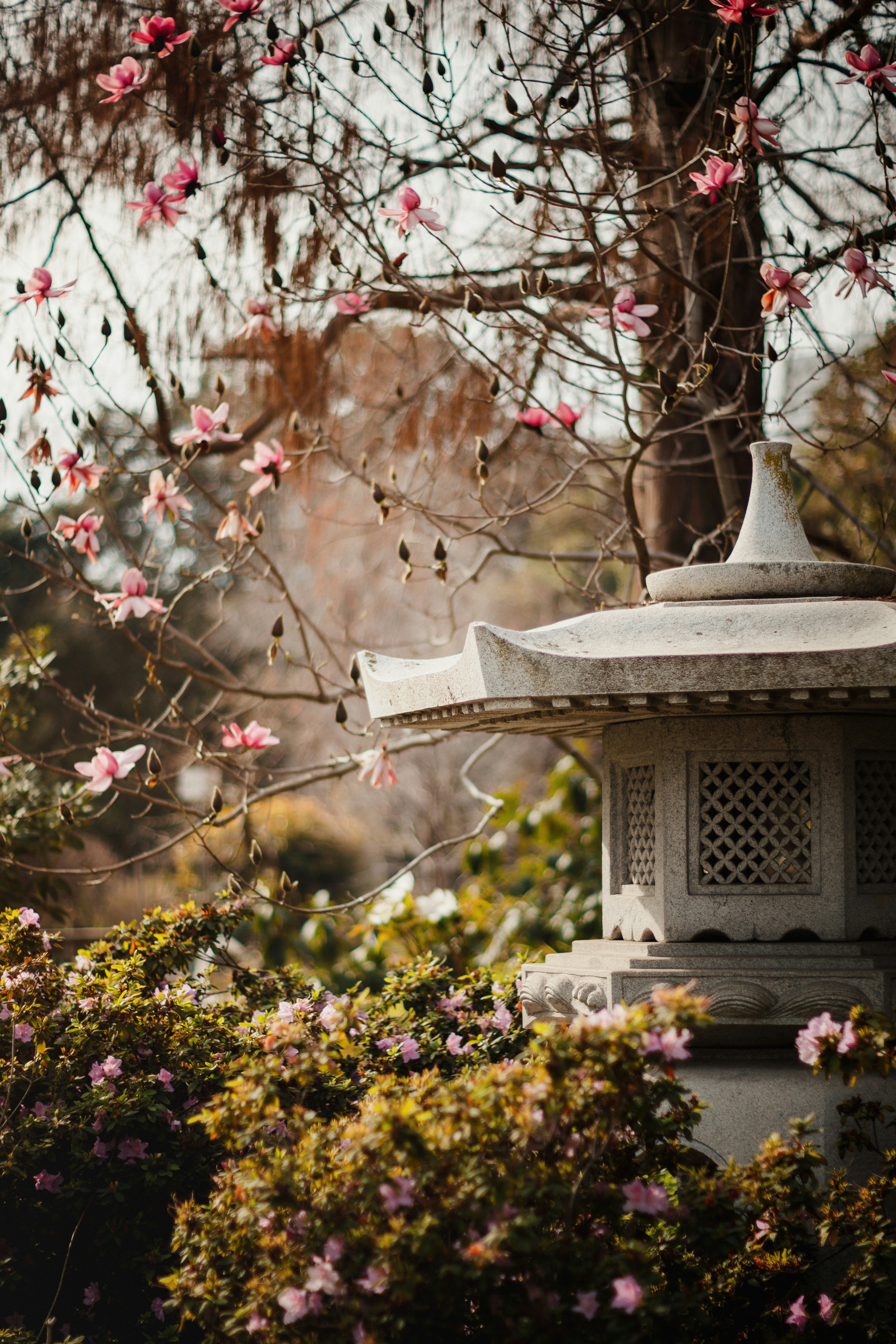 Photo by ninjason
