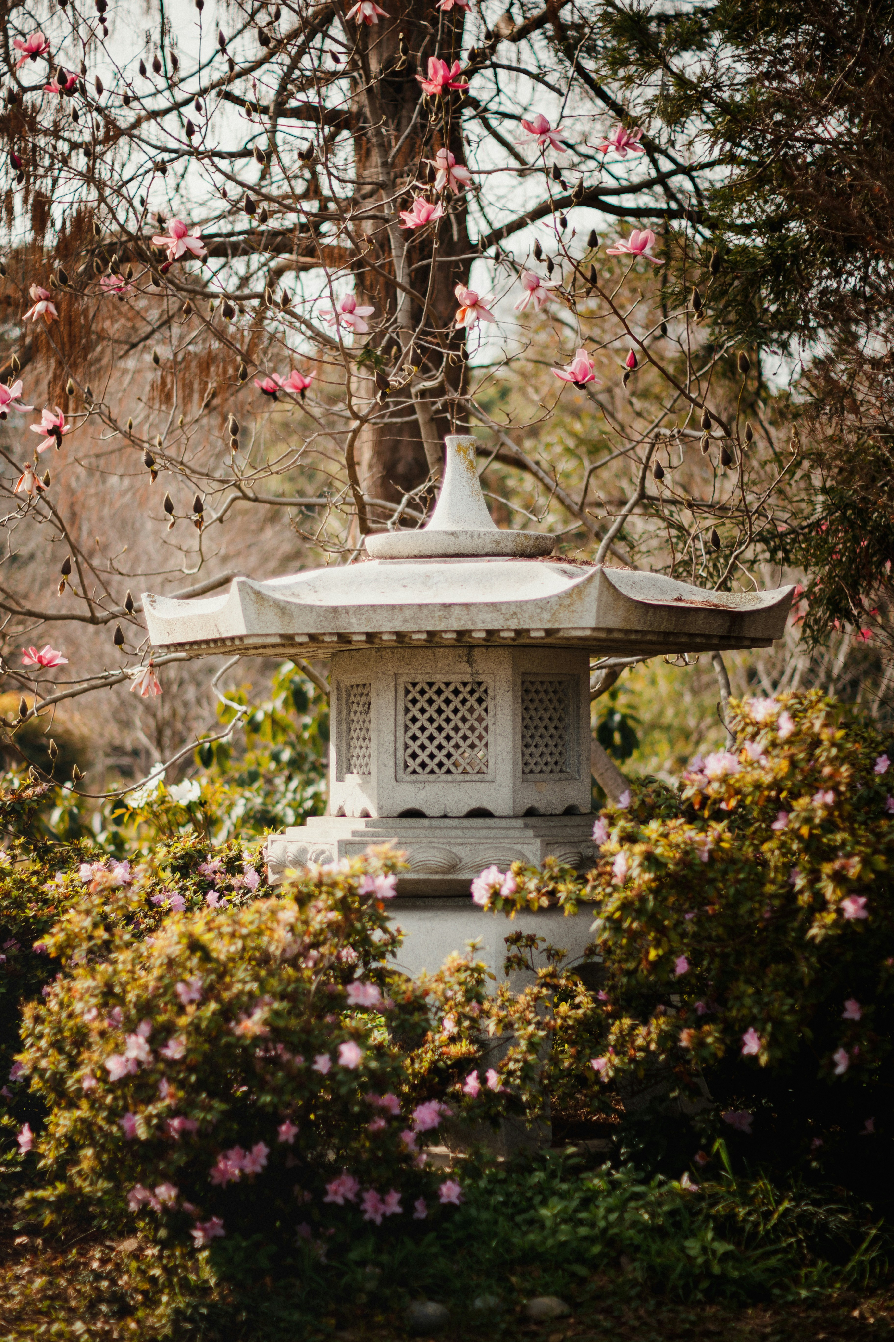 Photo by ninjason