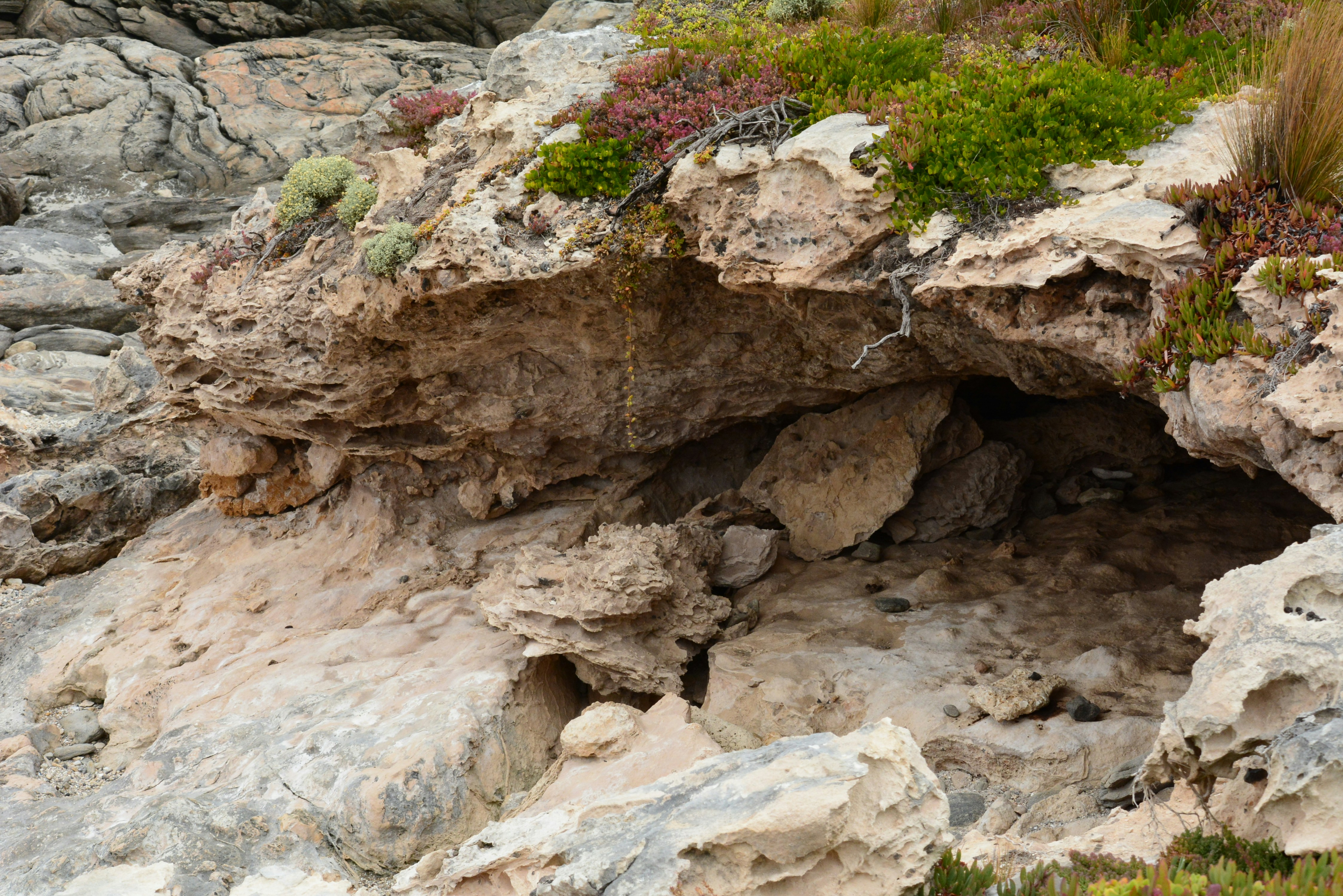 Photo by richard7seals