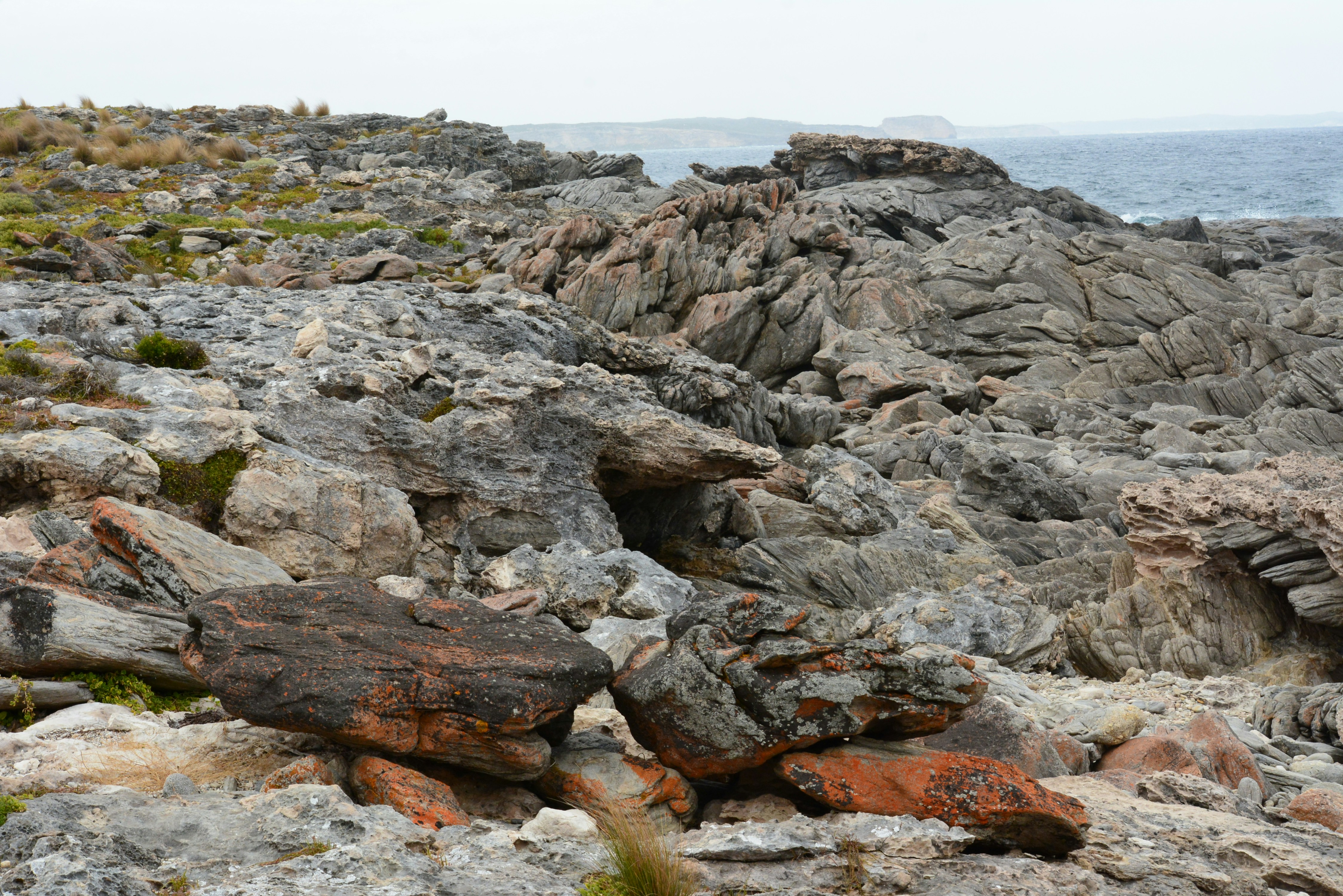 Photo by richard7seals