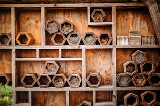 Wooden structure contains multiple hexagonal compartments, each filled with various natural materials like bamboo sticks and twigs, suggesting a habitat or nesting area for insects. The background is a rustic wooden surface, adding to the natural and earthy feel.