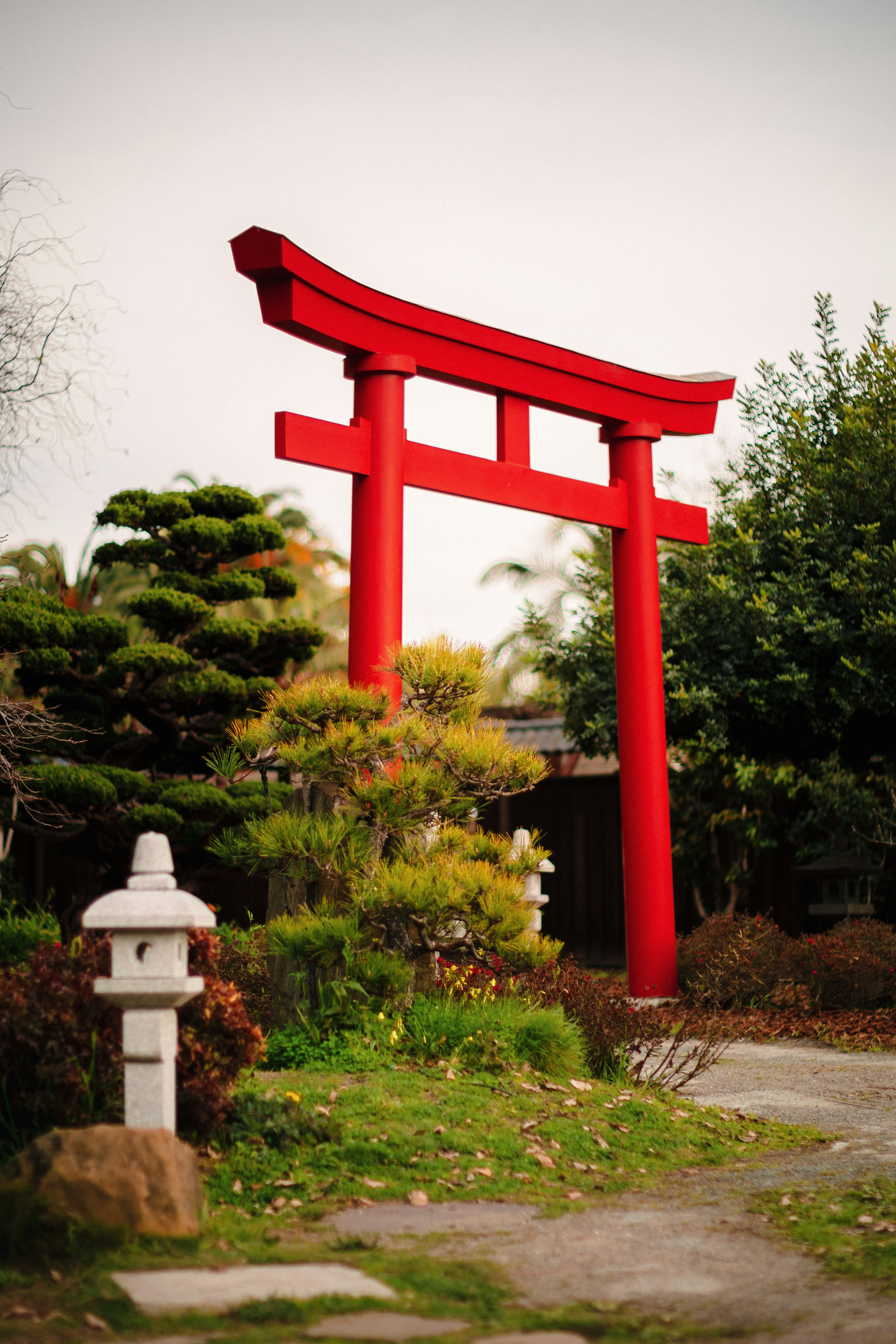 Photo by ninjason