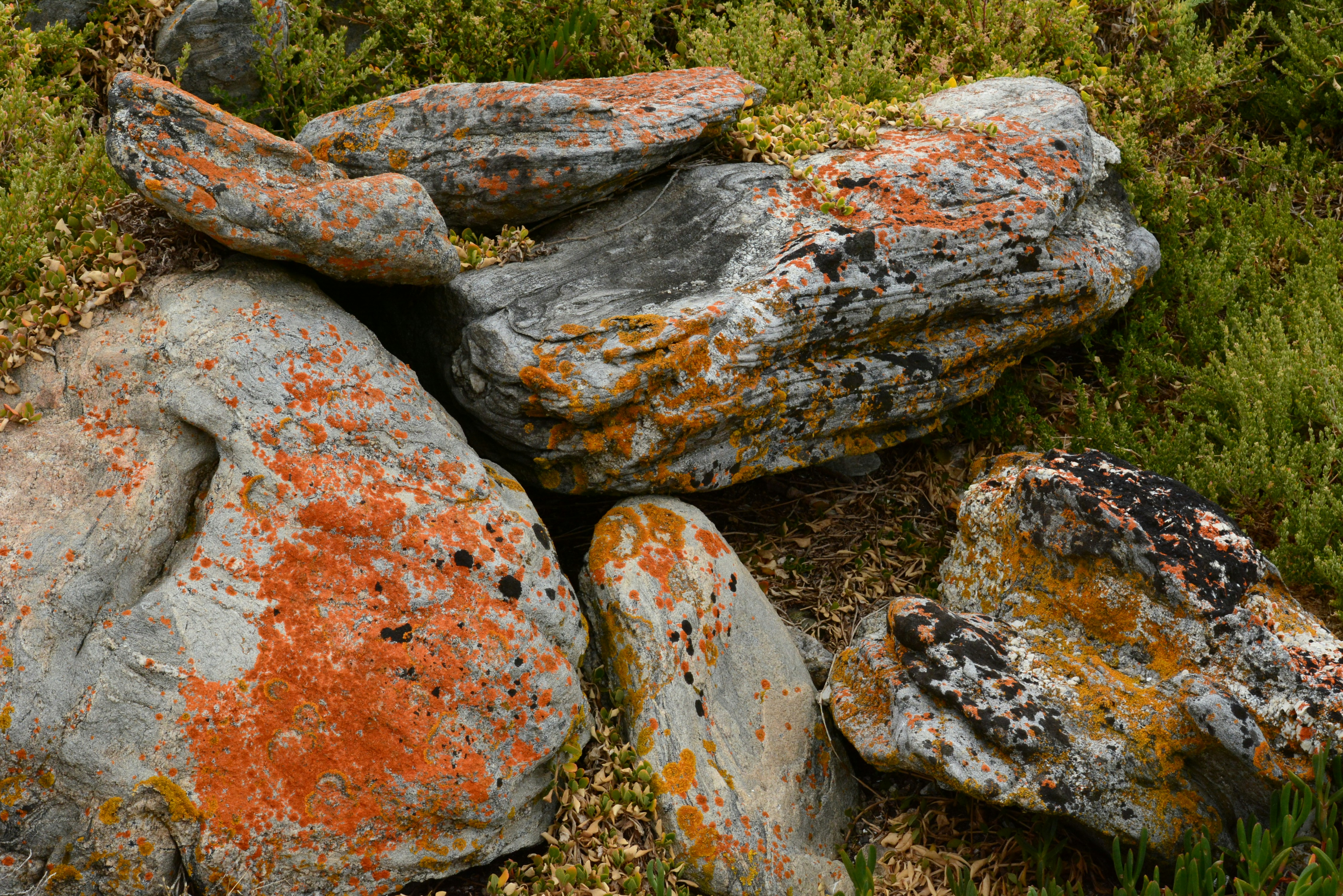 Photo by richard7seals