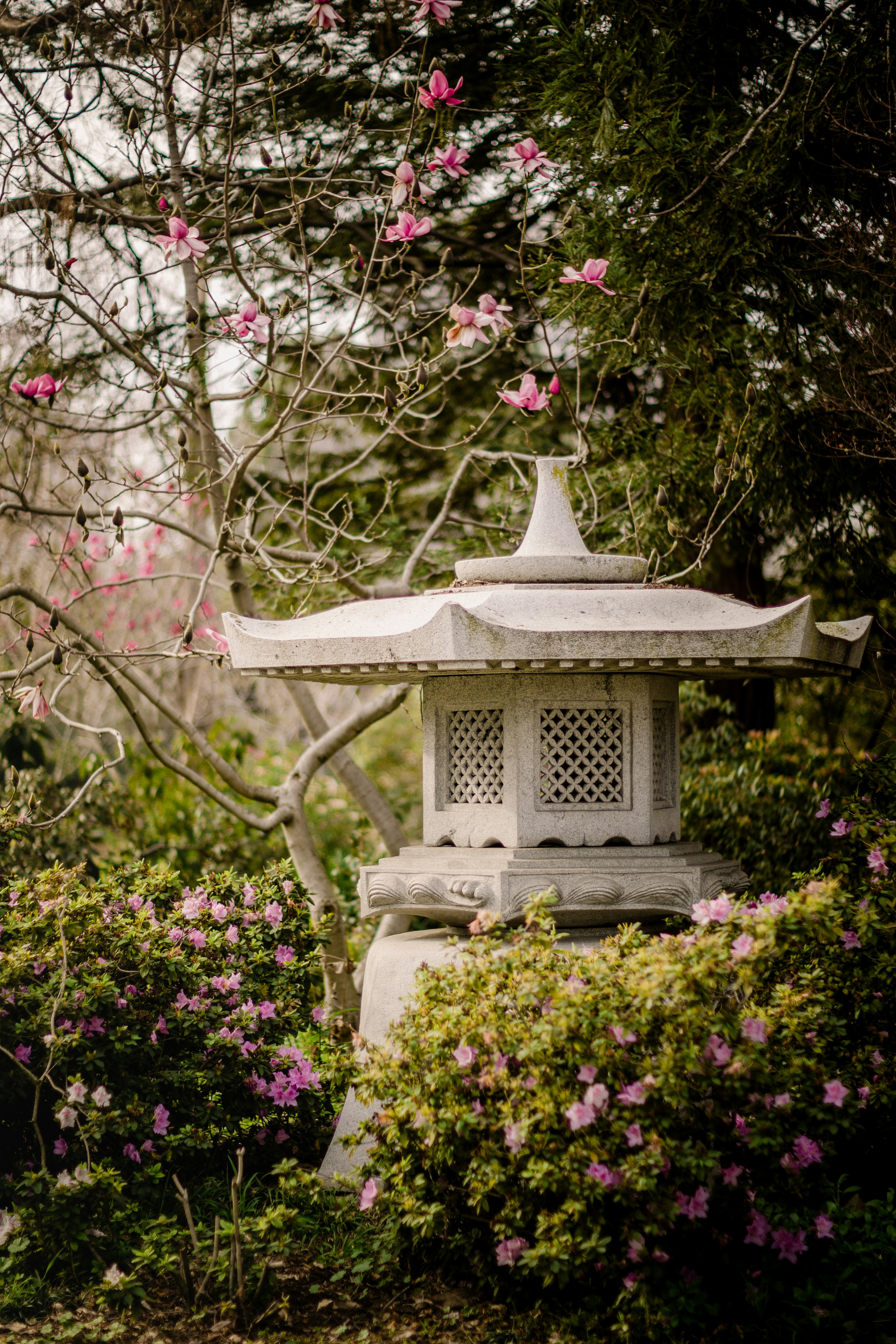 Photo by ninjason