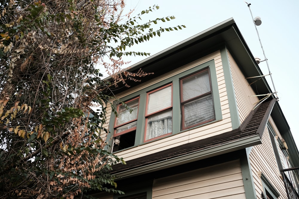 a house with a tree in front of it