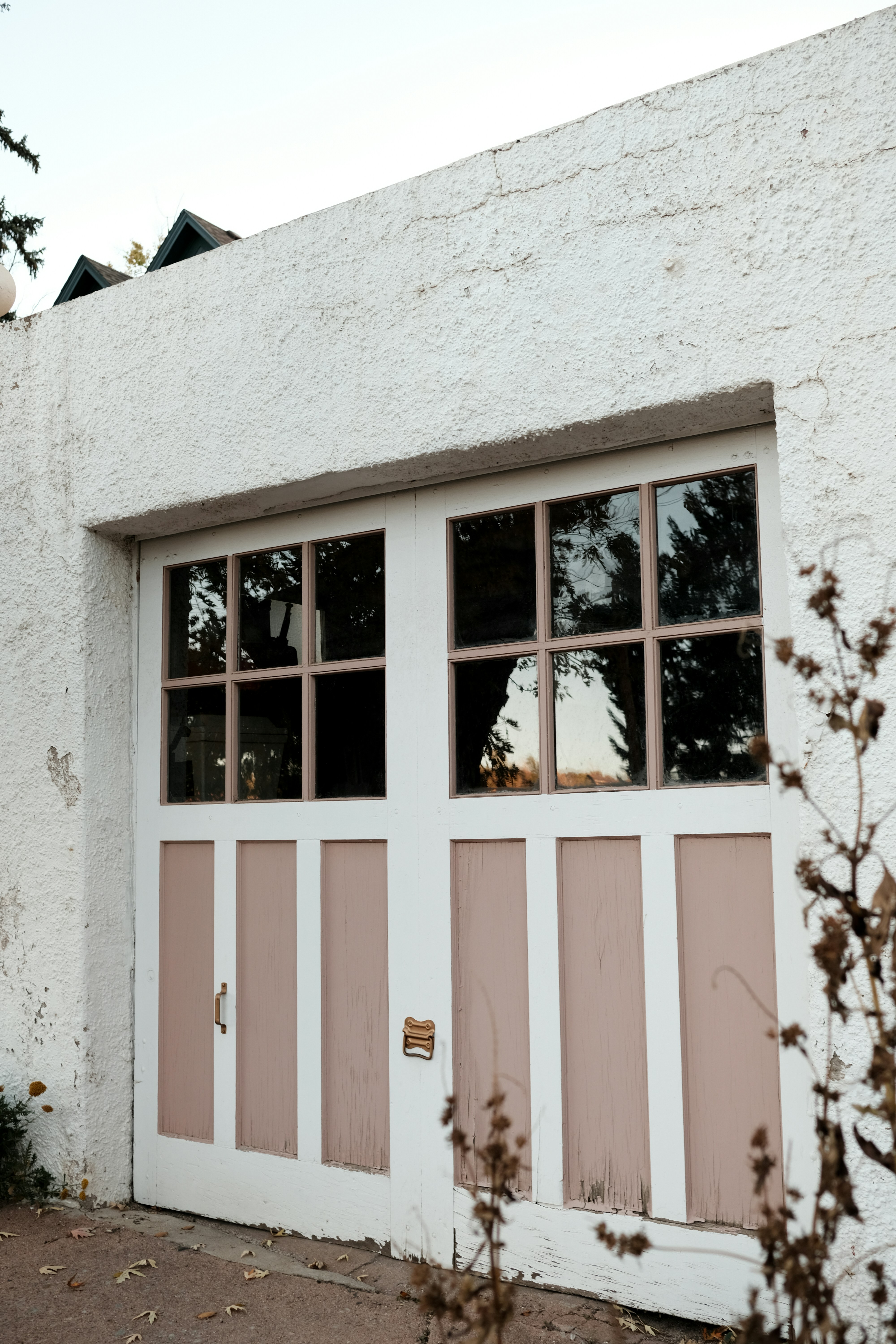 a dog is looking out the window of a garage