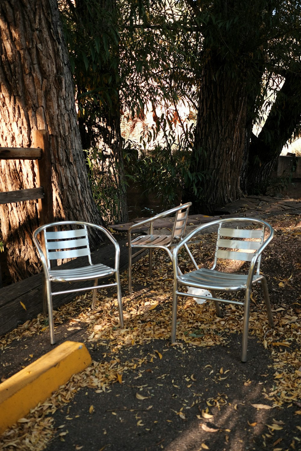 a couple of chairs sitting next to a tree