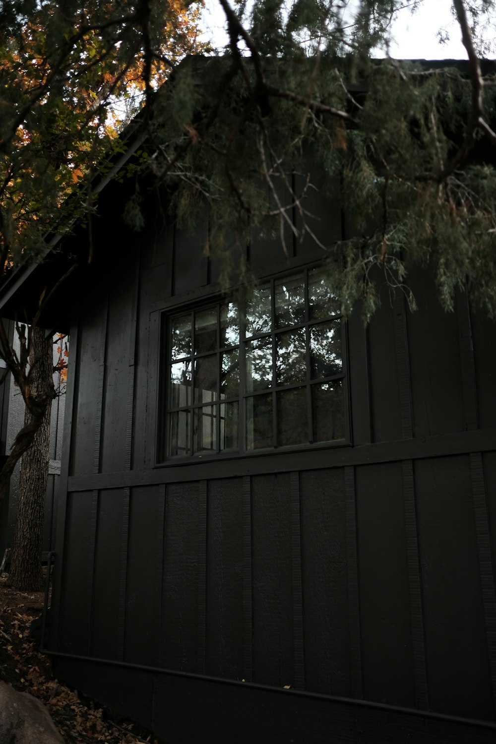 a black house with a tree in front of it