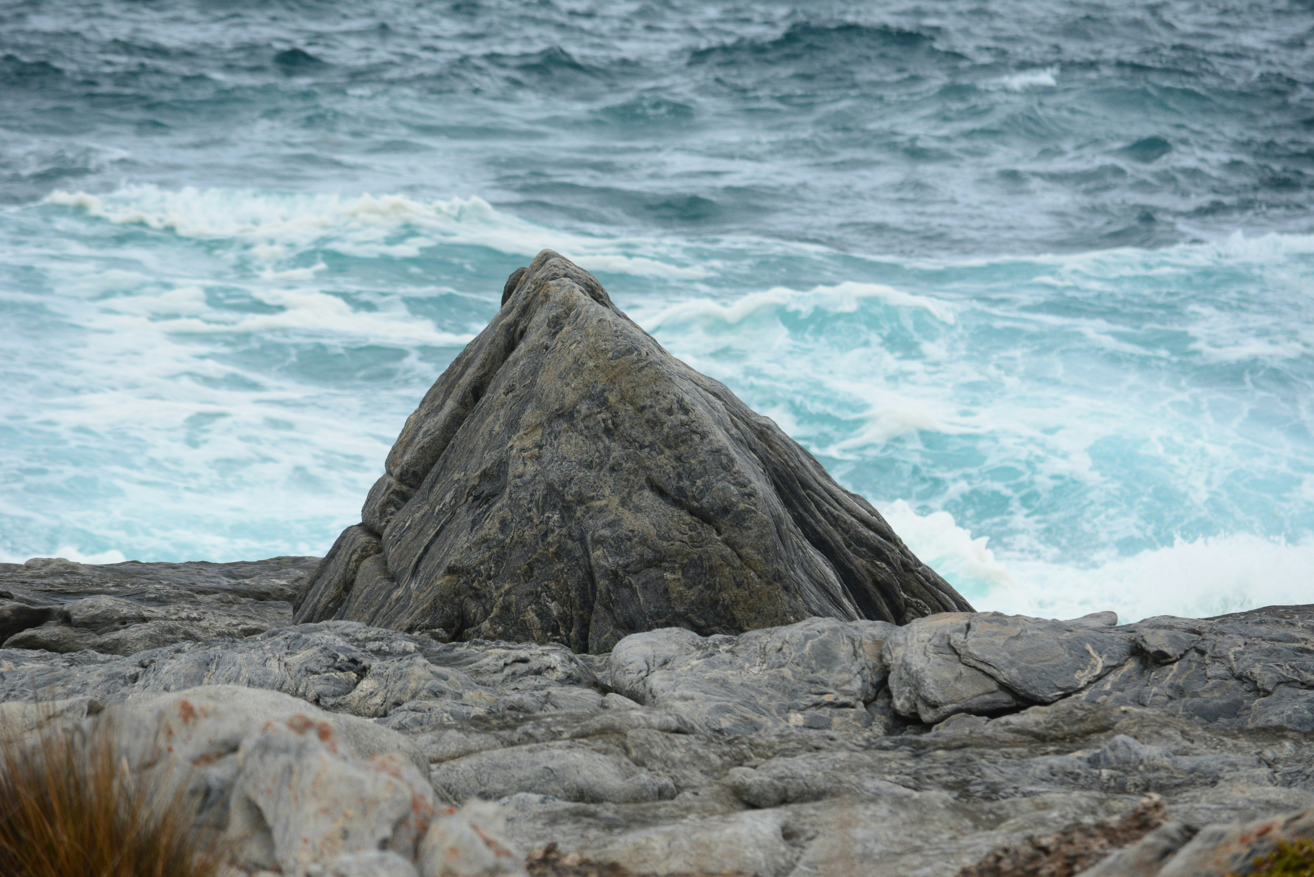 Photo by richard7seals