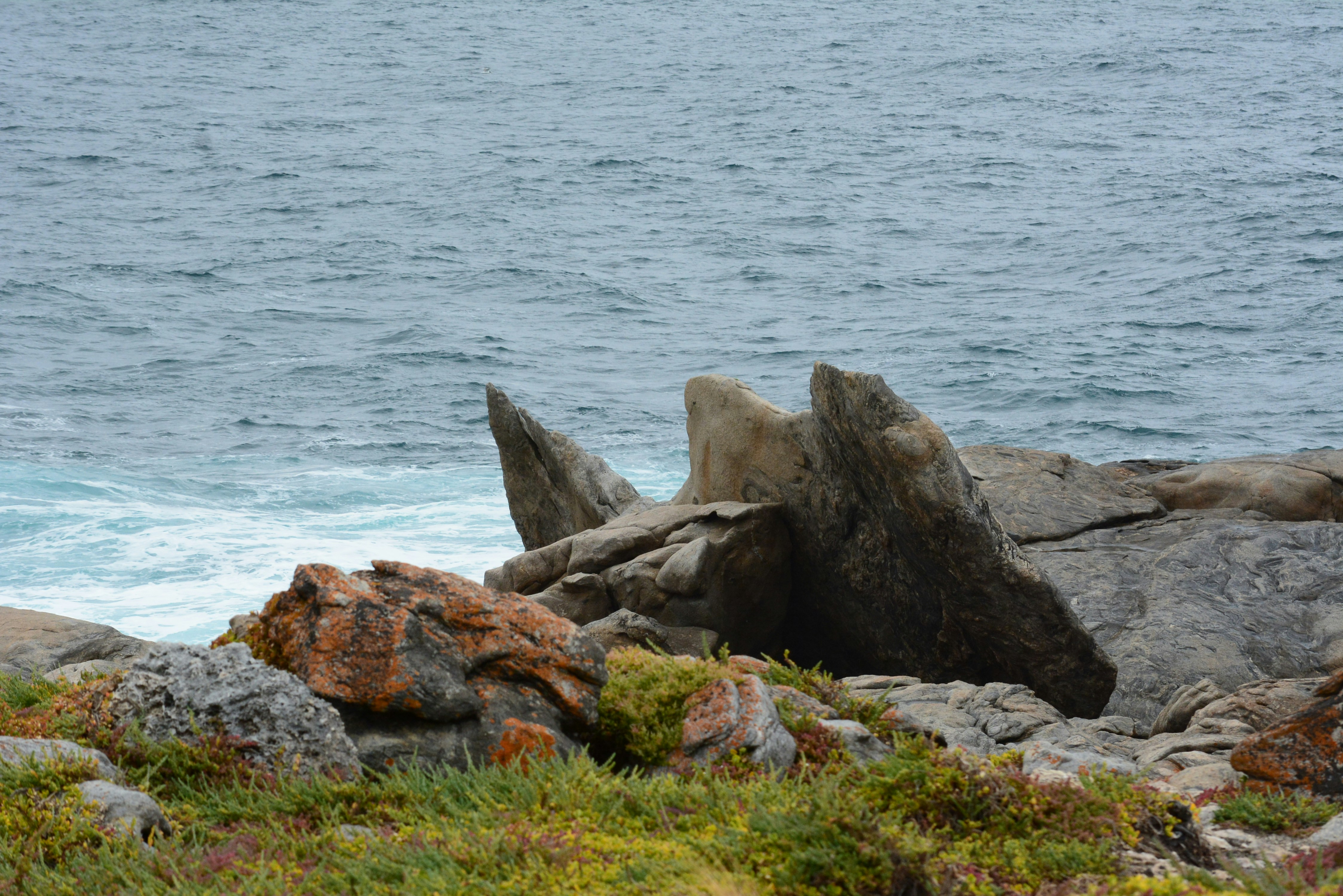 Photo by richard7seals