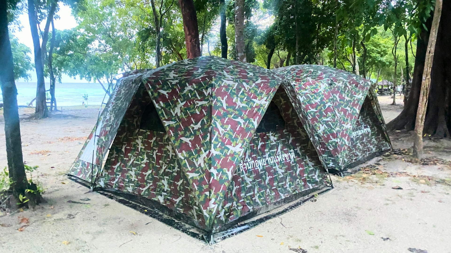 A group of campers setting up tents on a sandy beach of Pulau Bidan surrounded by lush greenery.