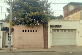 A street view featuring a residential facade with a large garage door and a small section of wall with square openings. A lush tree is visible above the wall, providing a touch of greenery. An adjacent lamp post has a poster attached, and various overhead cables are strung across the scene.