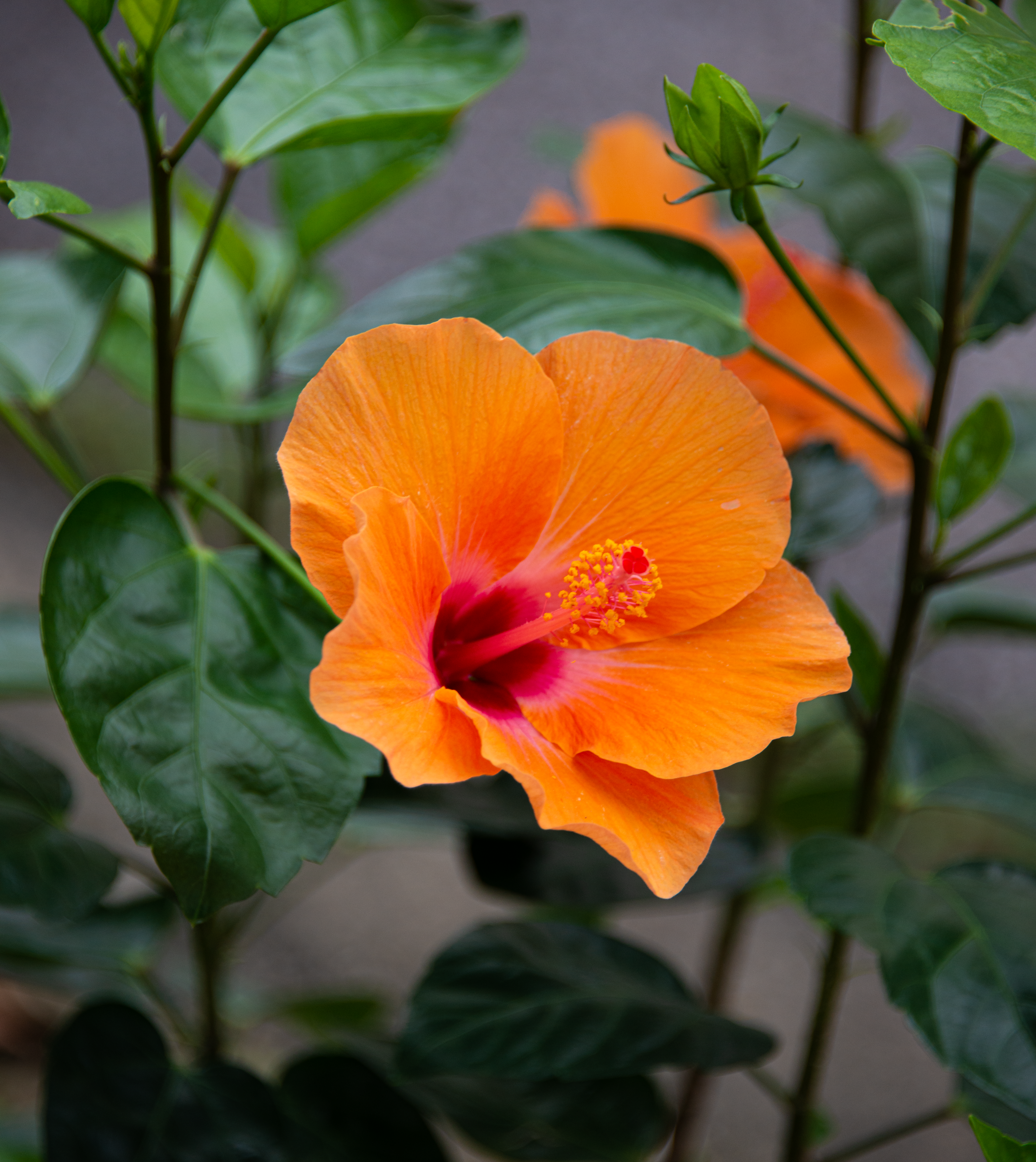 Photo by smithclukas