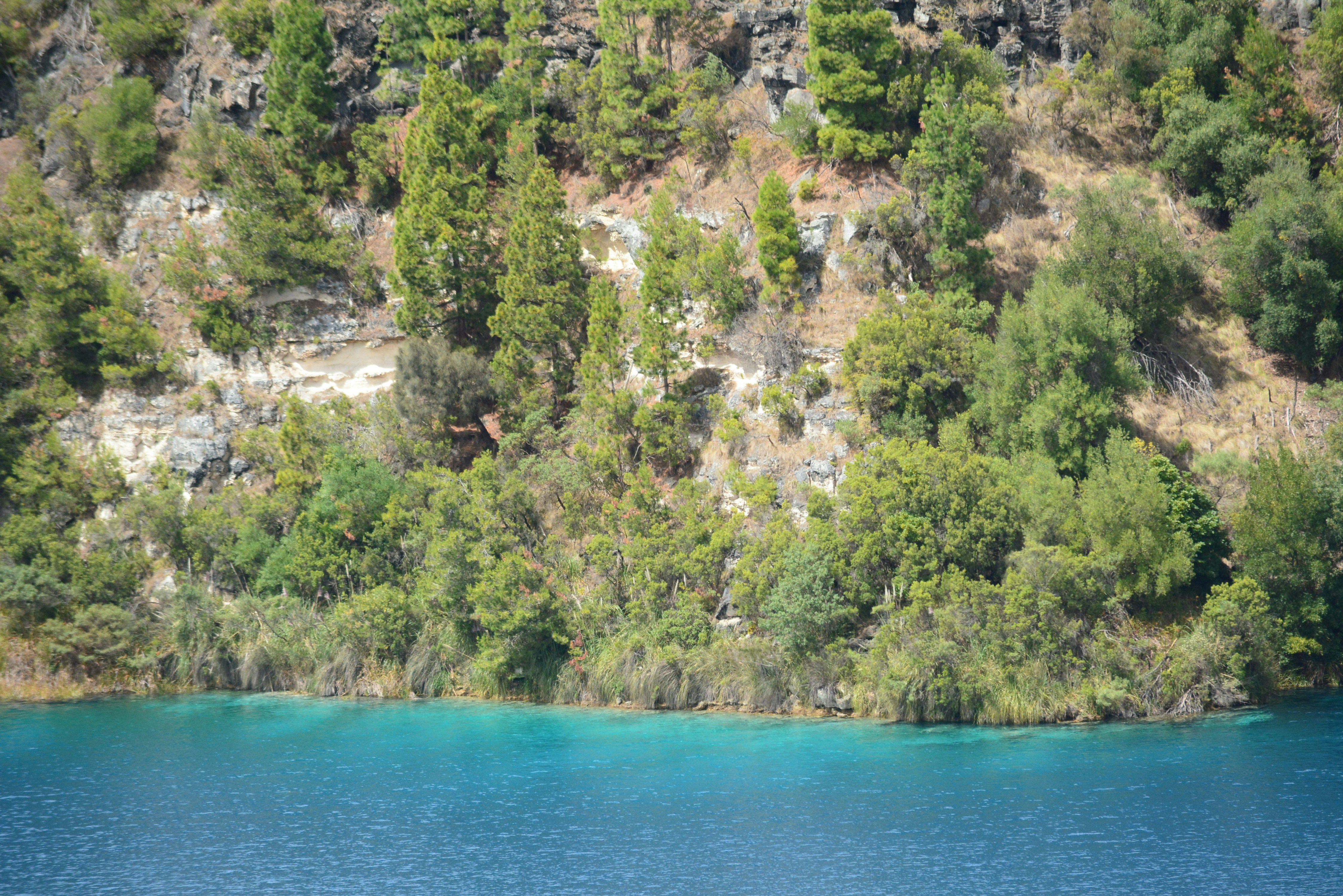 a body of water surrounded by trees and rocks
