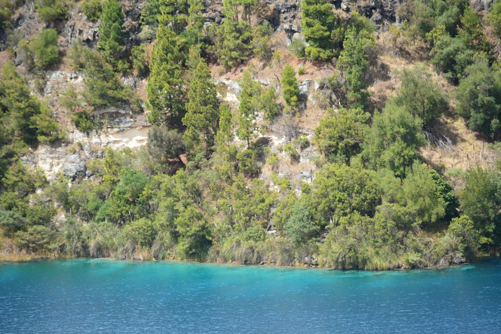 a body of water surrounded by trees and rocks