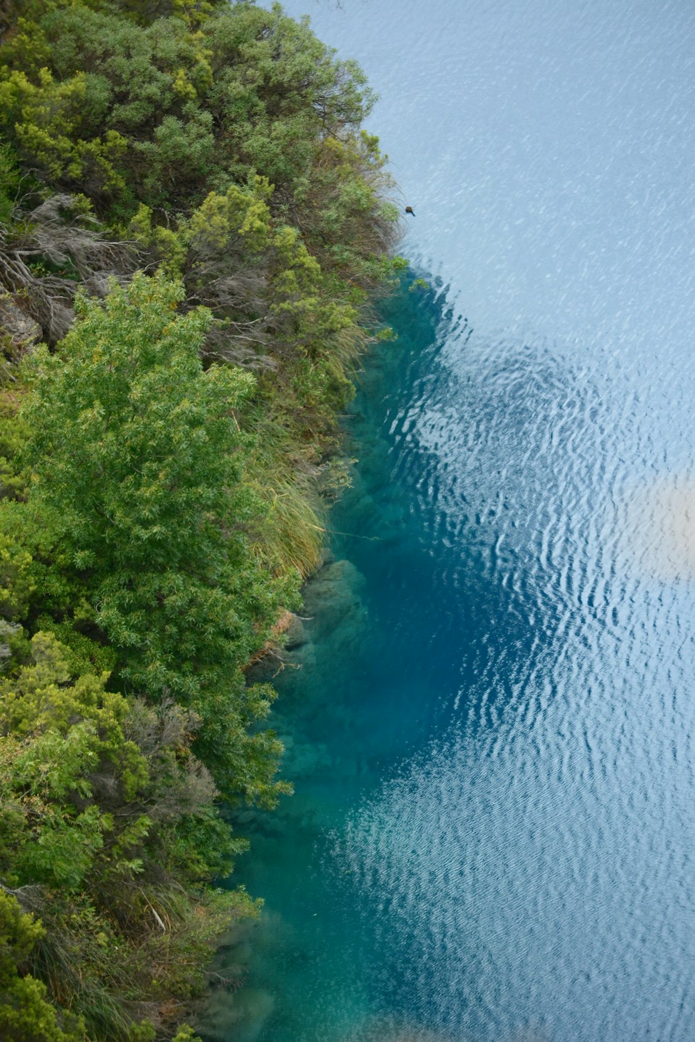 ein Gewässer, umgeben von Bäumen und Felsen