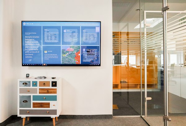Video Conference System