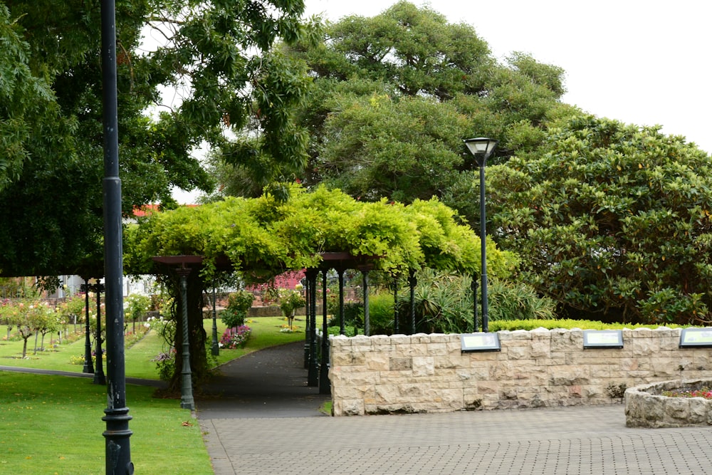 a park area with a stone wall and green trees