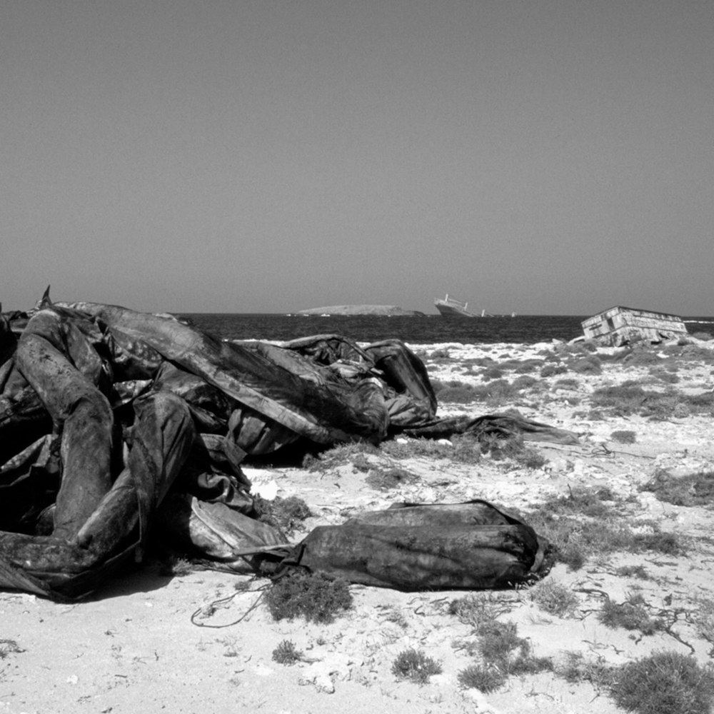 a black and white photo of driftwood on the beach