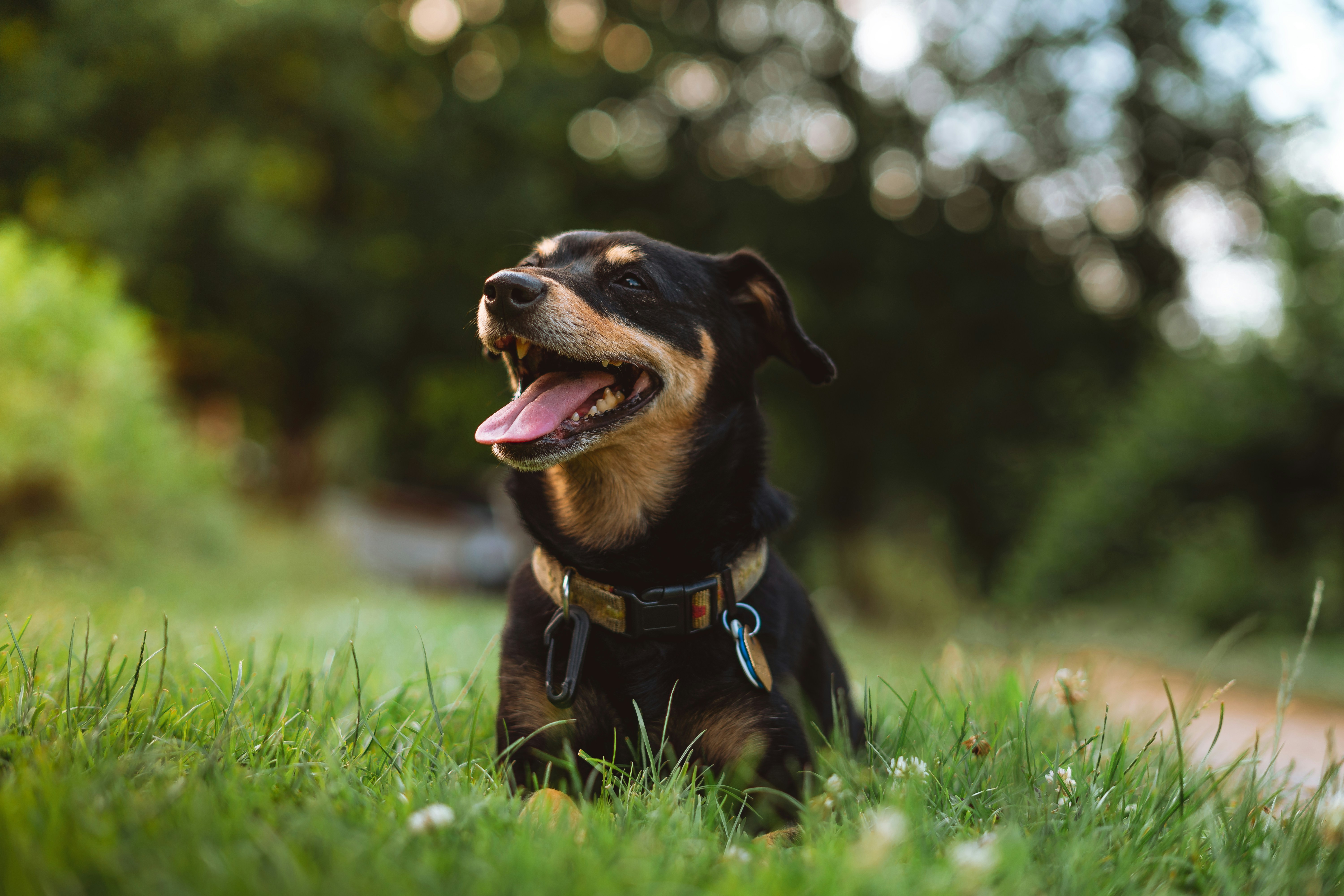 Photo by venajeborec