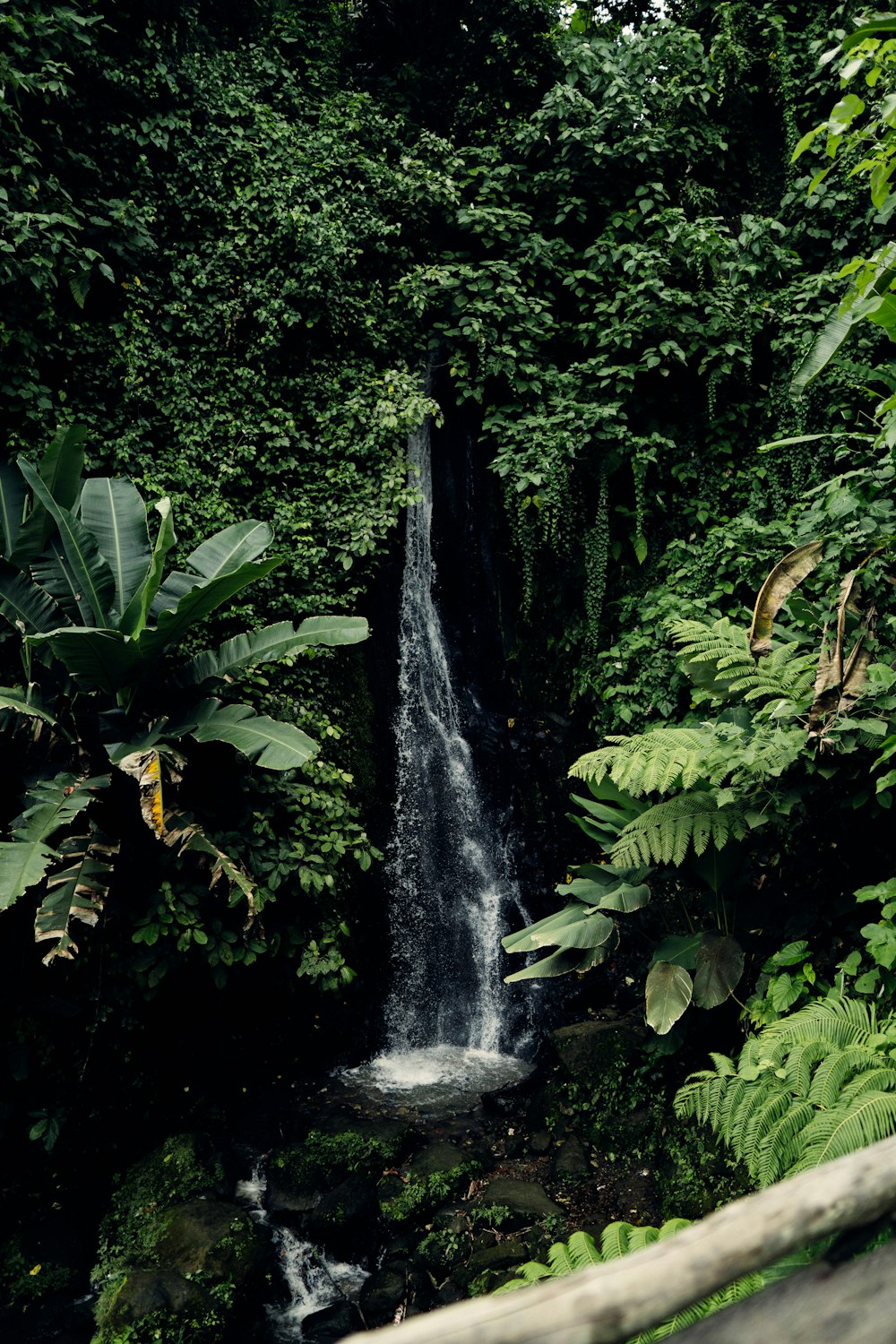 a waterfall in the middle of a jungle