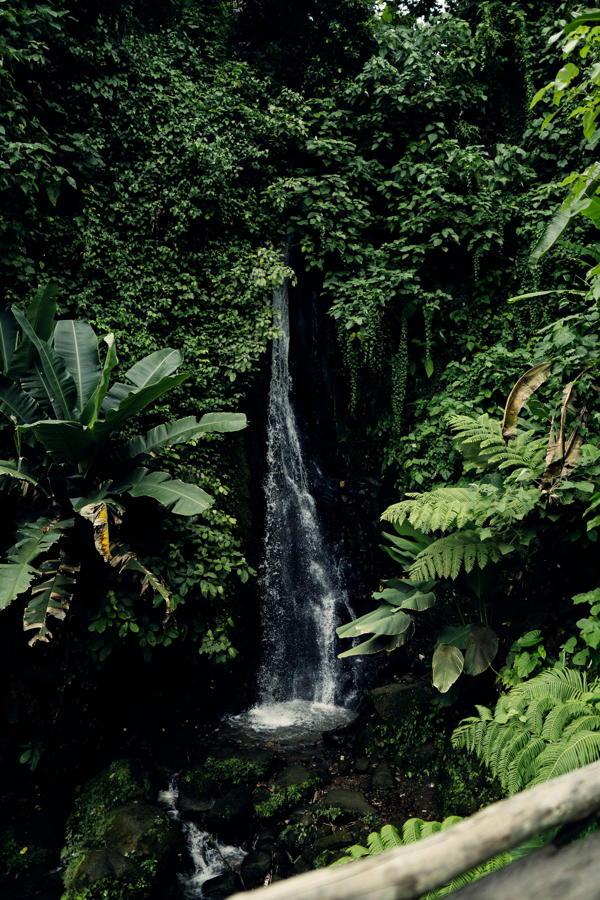a waterfall in the middle of a jungle