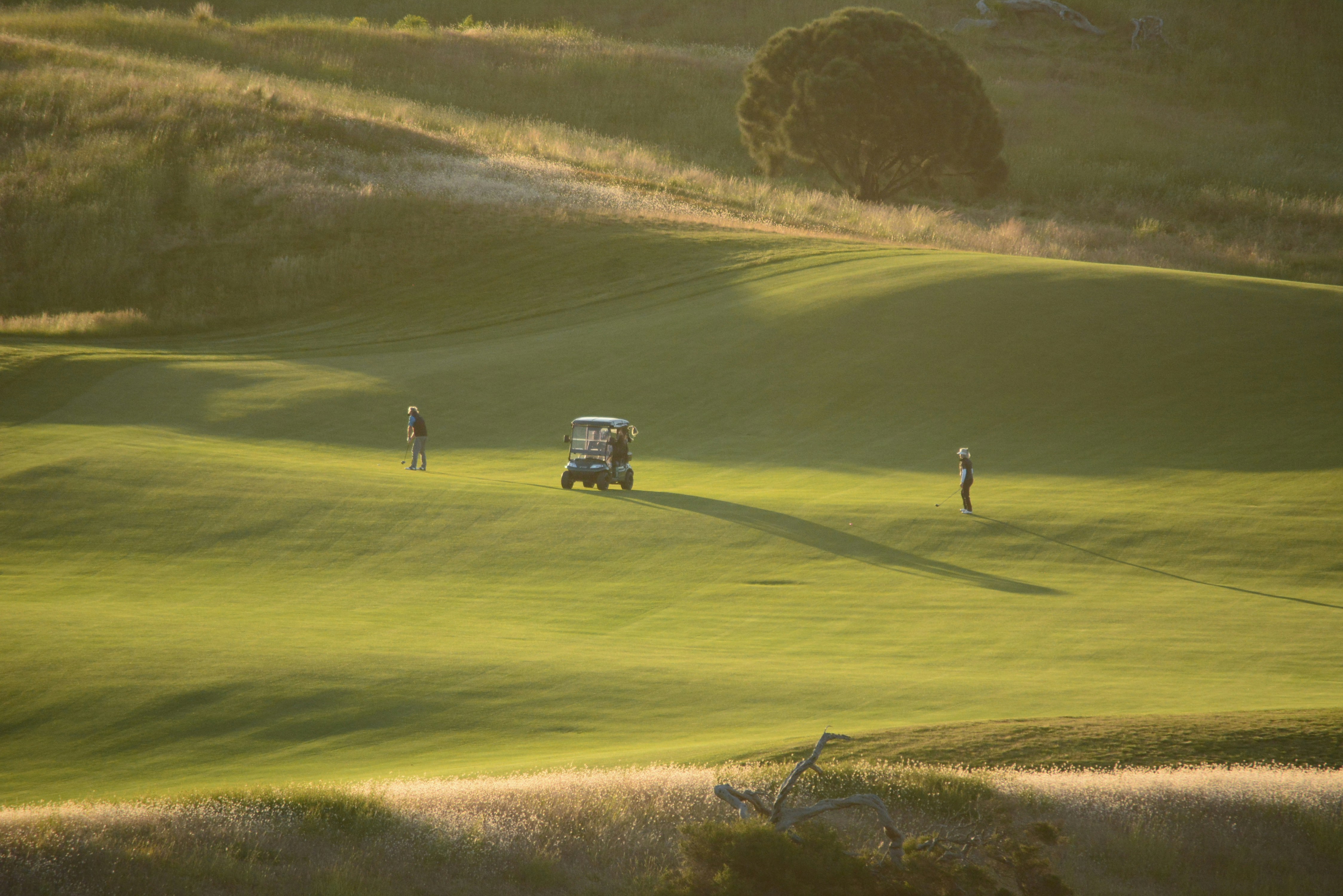 Photo by richard7seals