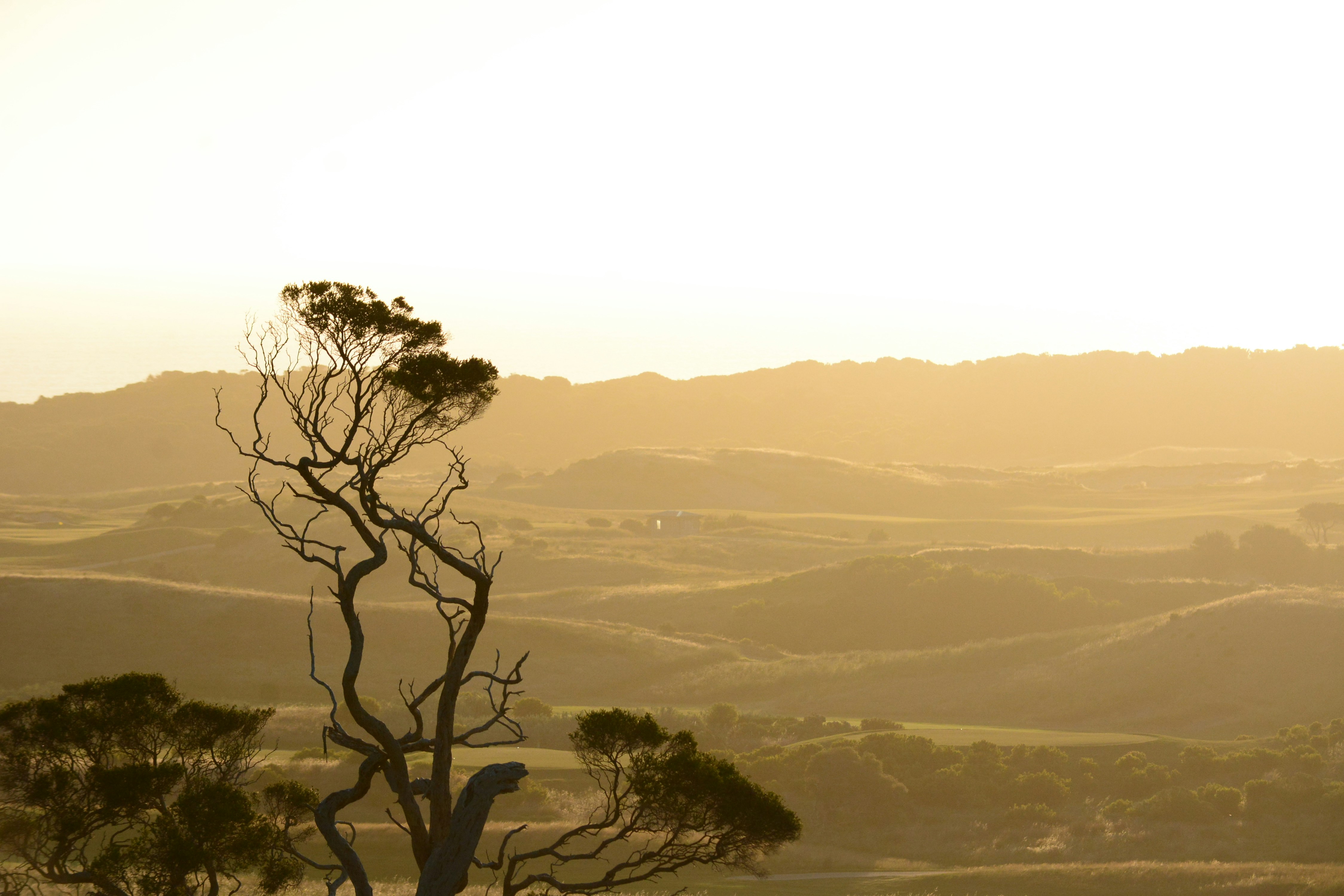 Photo by richard7seals