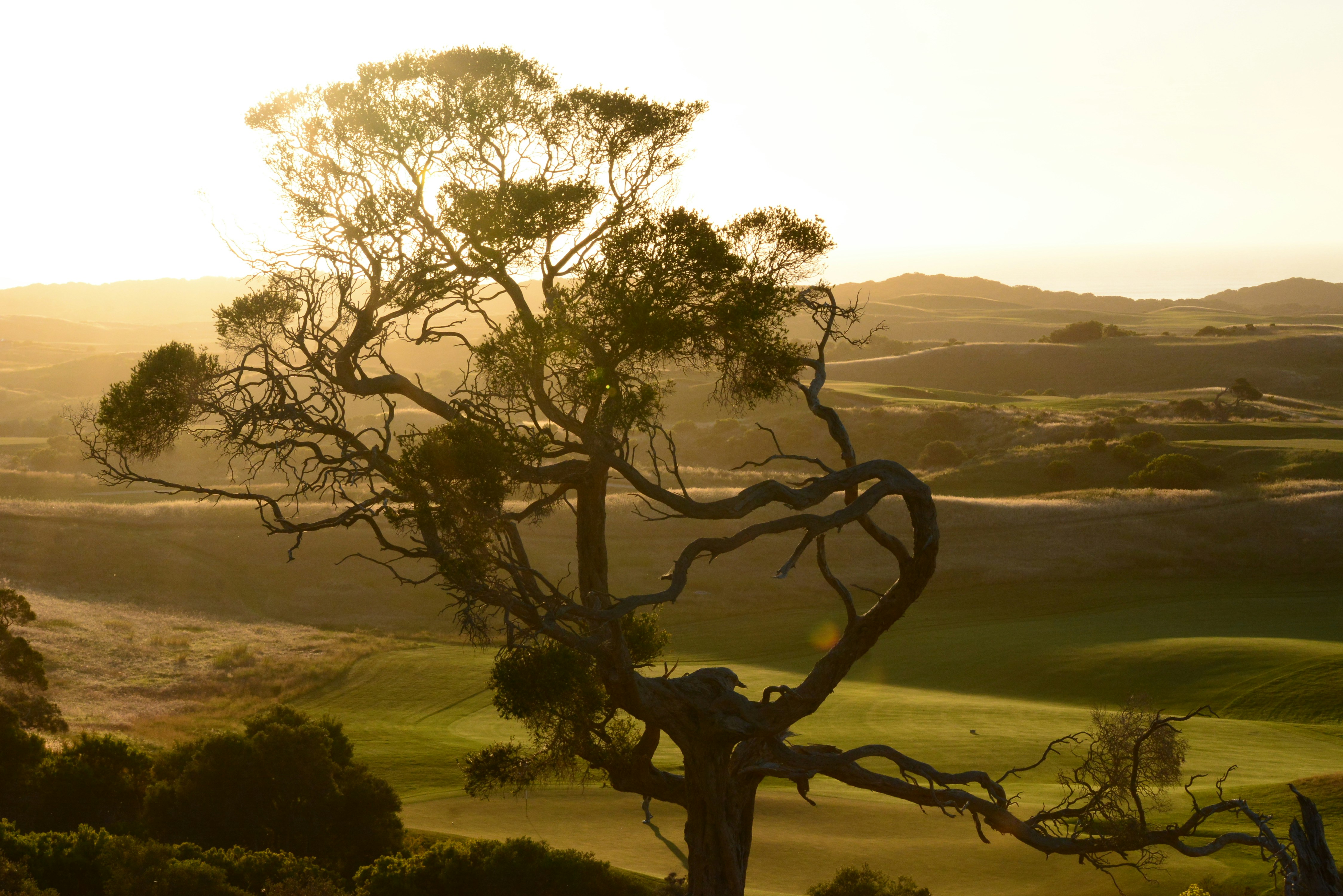 Photo by richard7seals