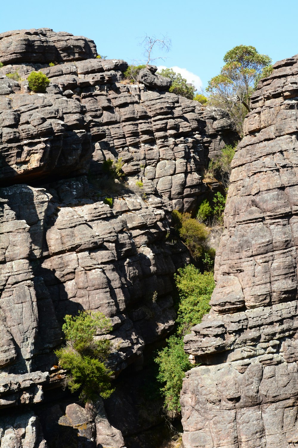 a large rock formation with trees growing out of it