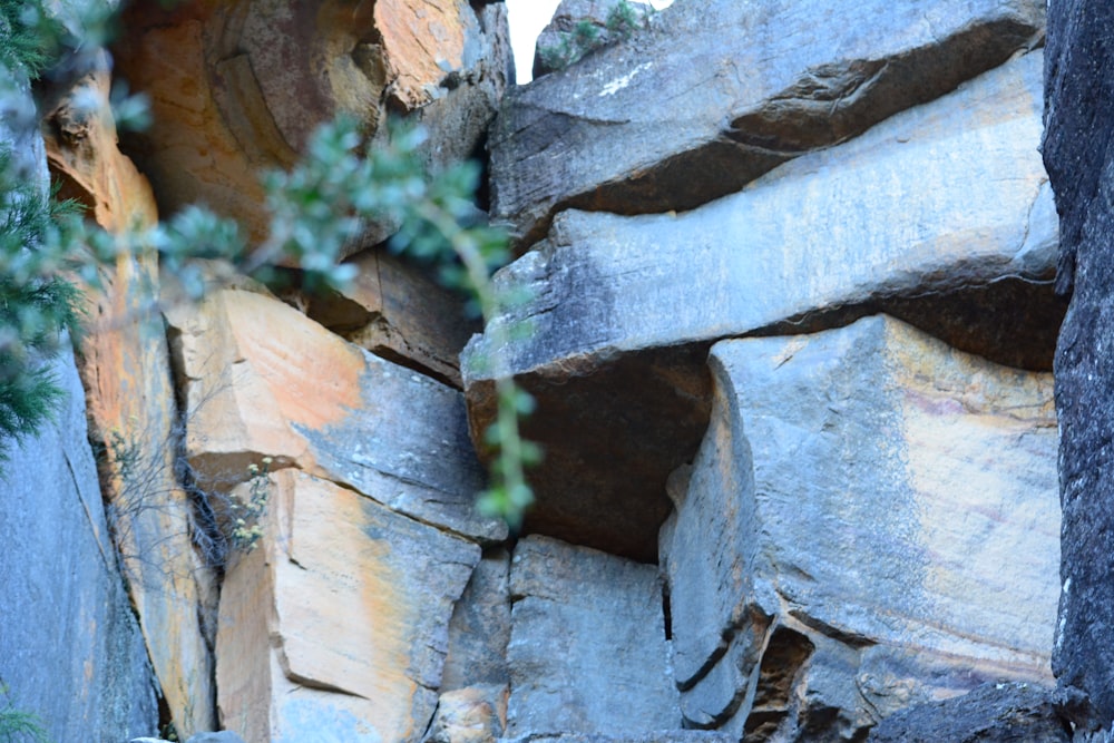 a bear that is standing on some rocks