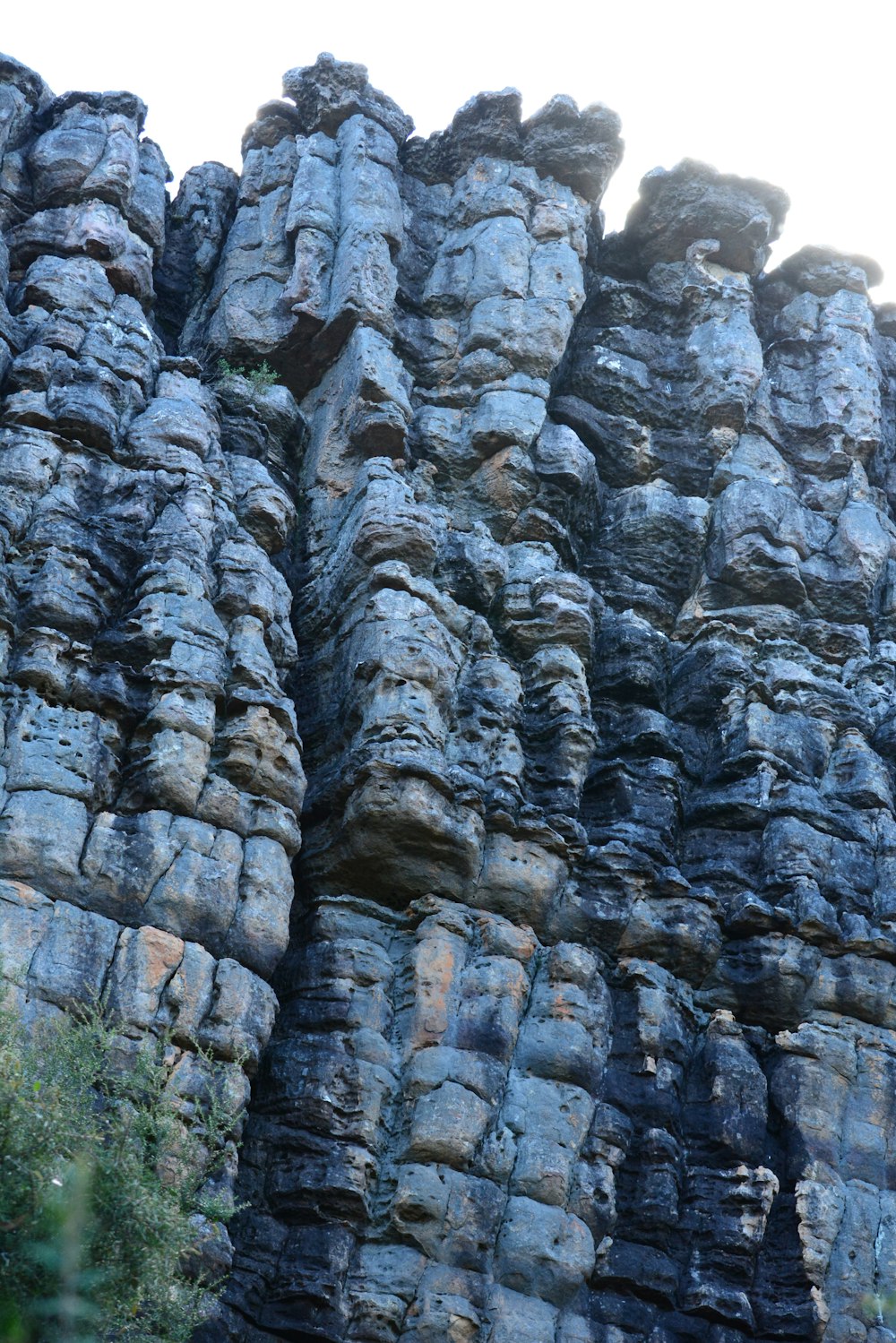 a very tall rock formation with trees growing out of it