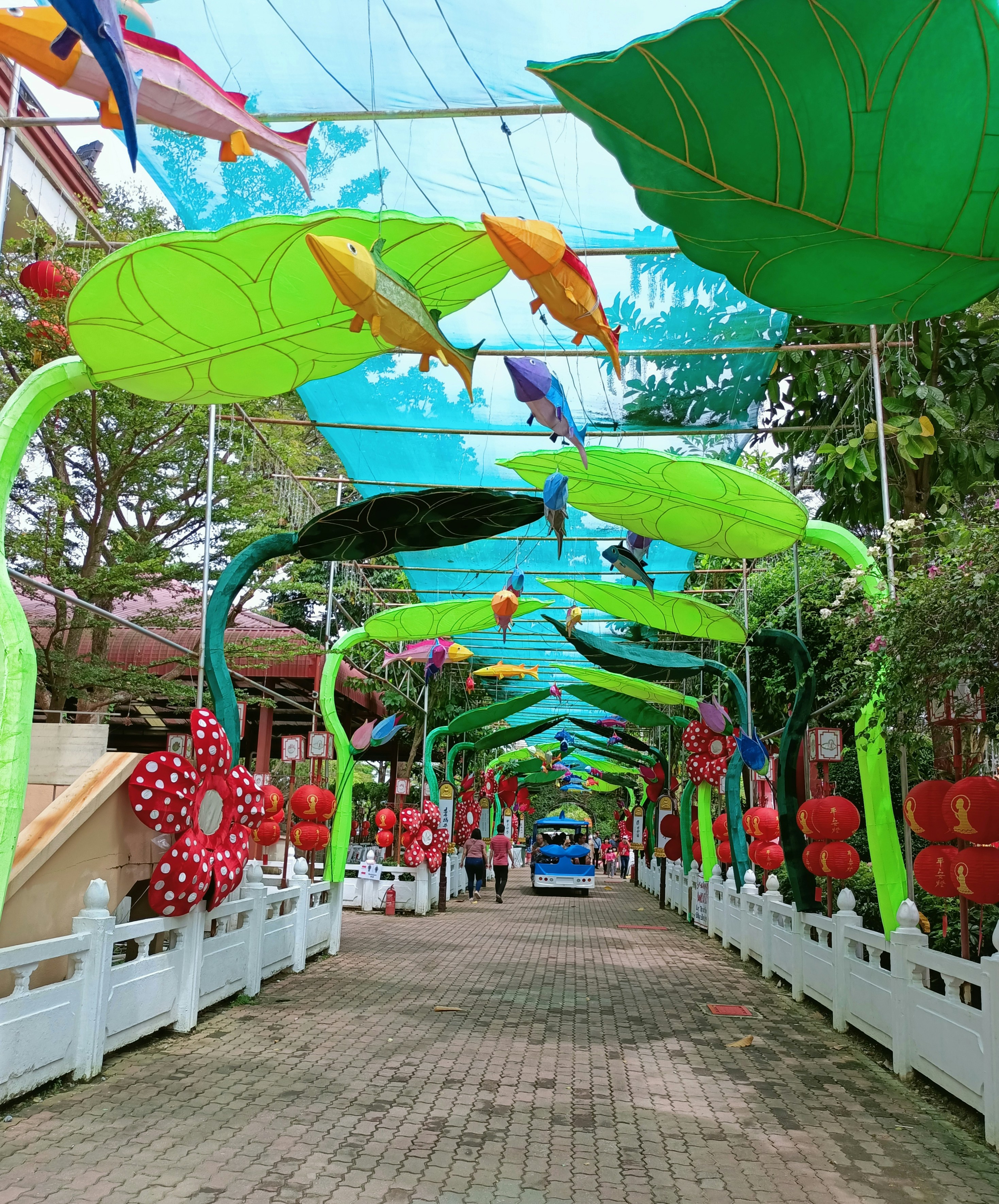 봉무공원 곤충축제 주차장 관련 이미지2