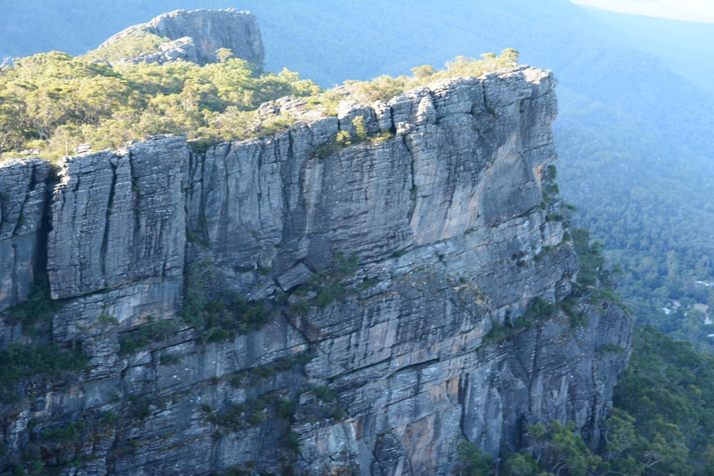 a view of a rocky mountain with trees on it