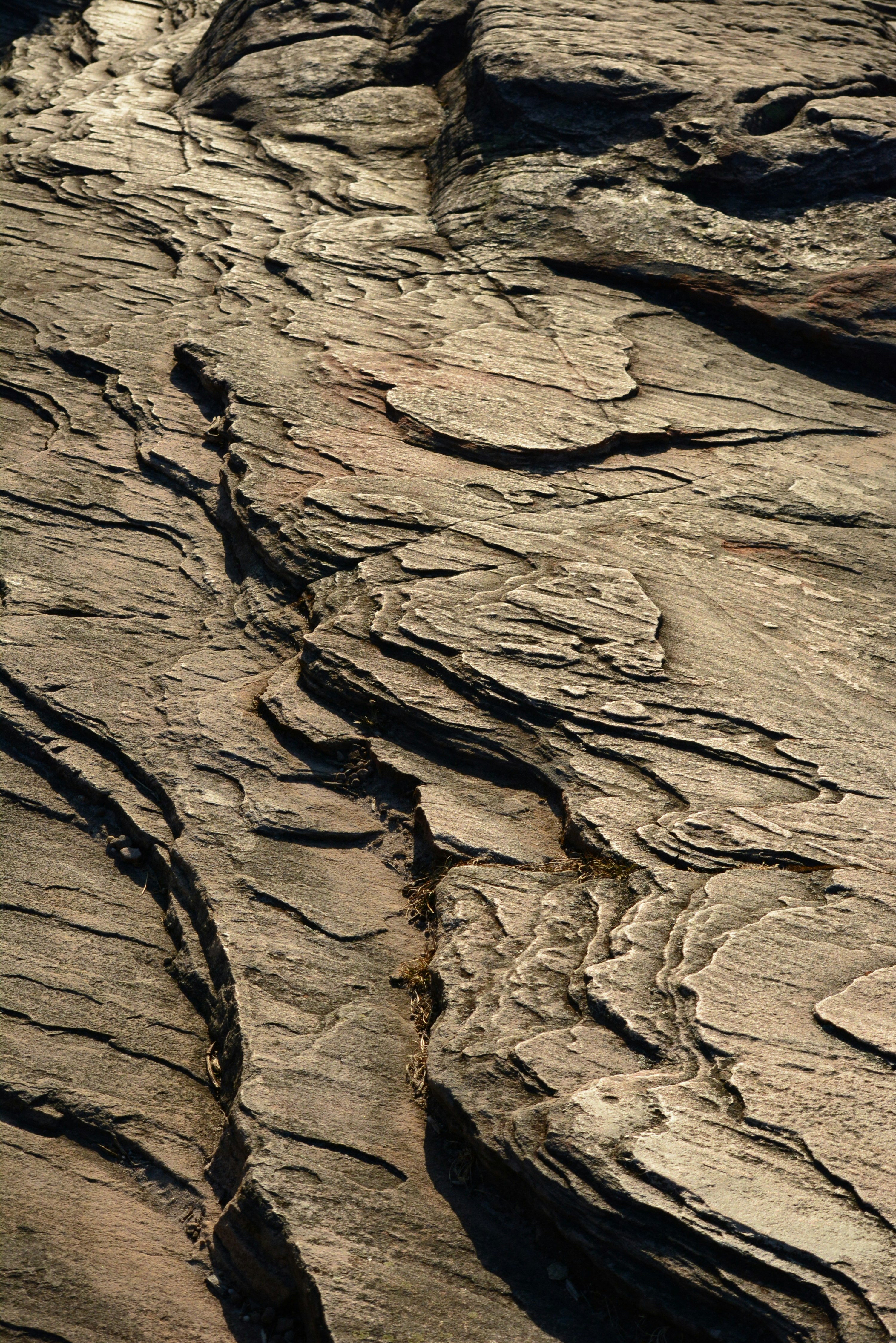 Photo by richard7seals