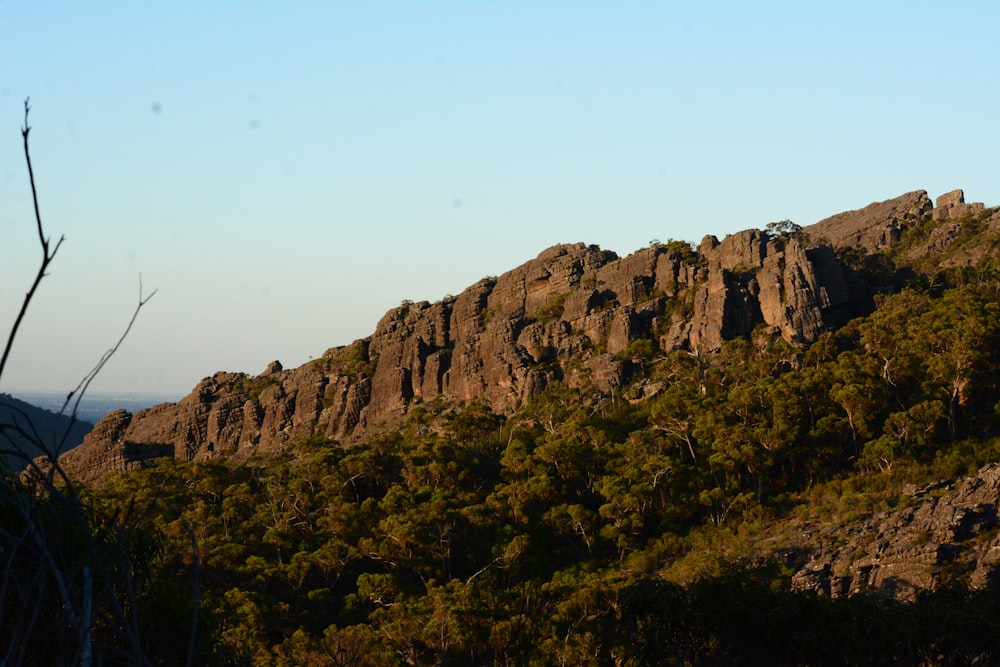 a rocky mountain with trees on the side of it