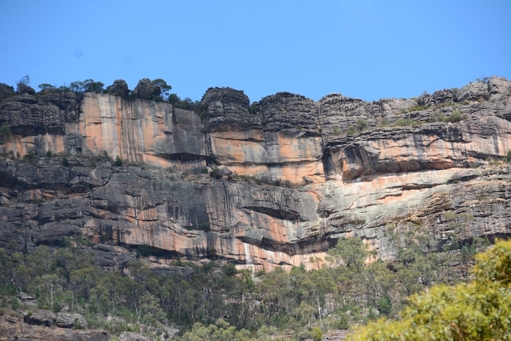 a rocky mountain with trees on the side of it