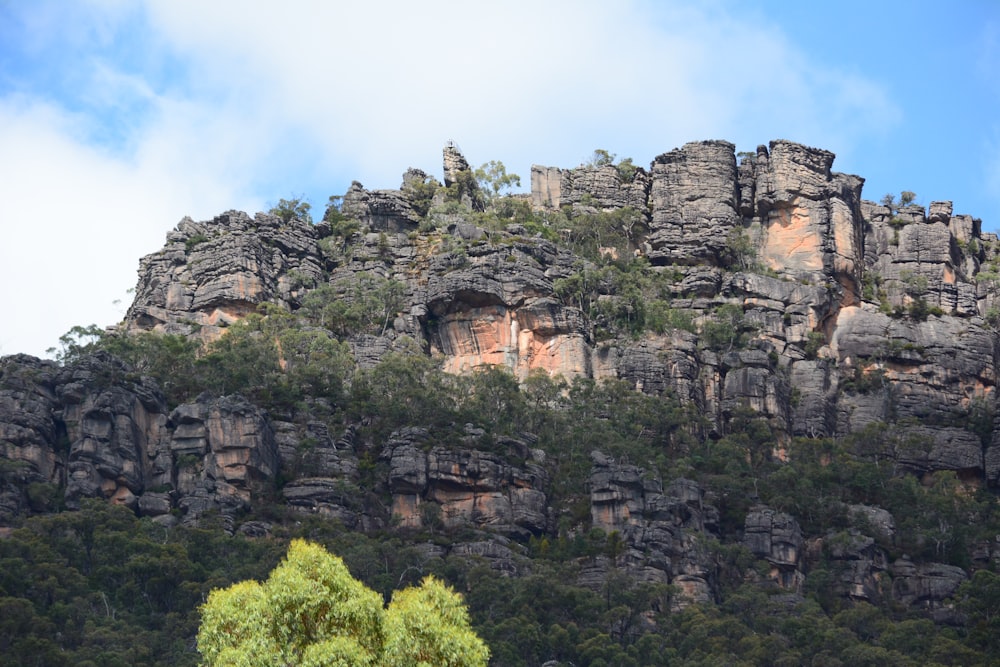 a rocky mountain with a tree in the foreground