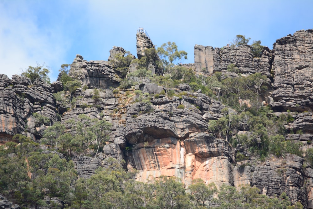 a rocky mountain with trees growing on top of it