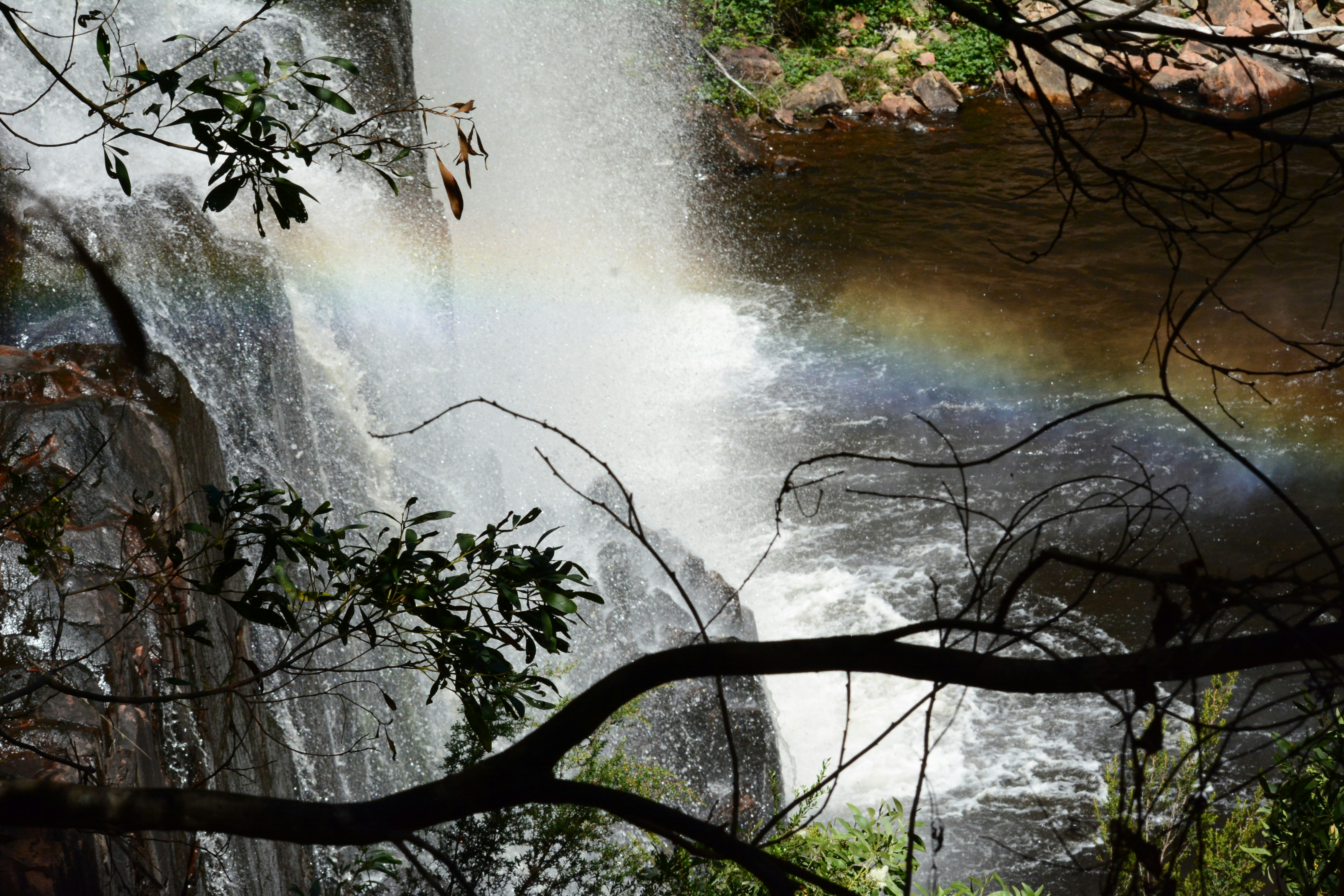 Photo by richard7seals