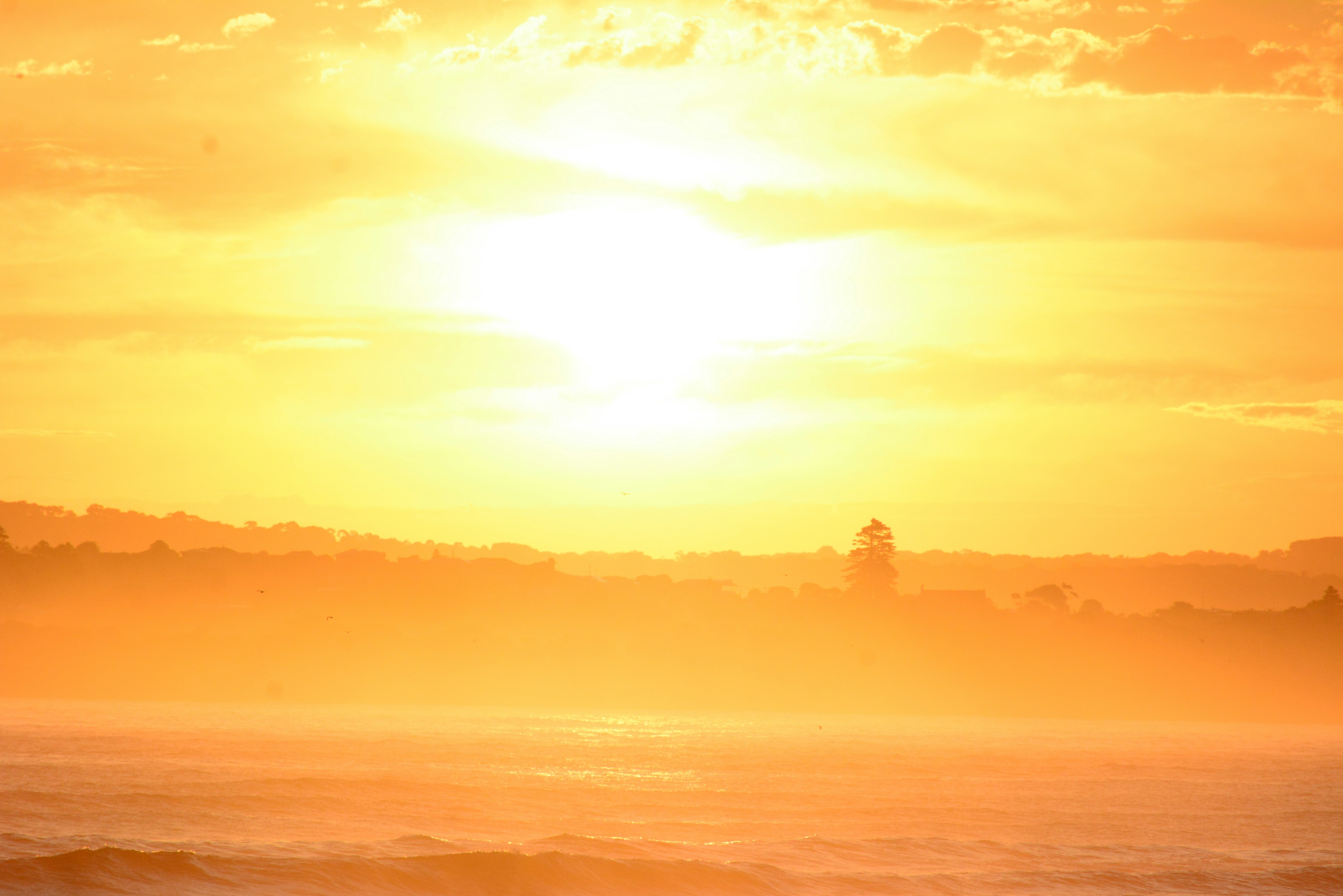 Photo by richard7seals